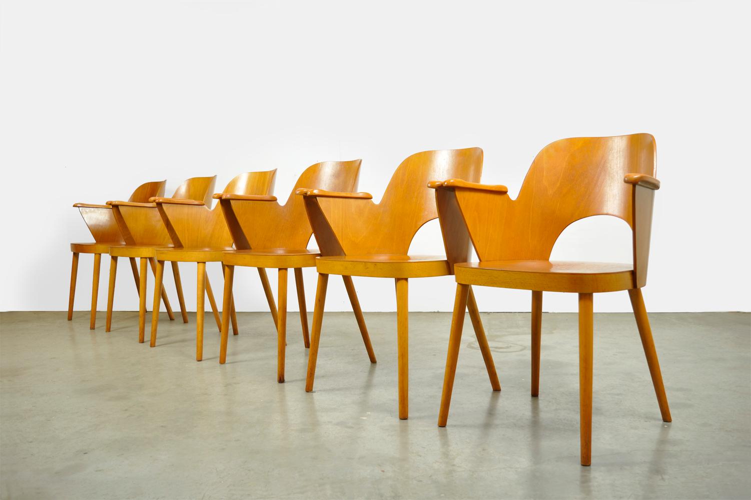 Beech Dining Chairs by Oswald Haerdtl and Produced by Ton 'Thonet' For Sale 14