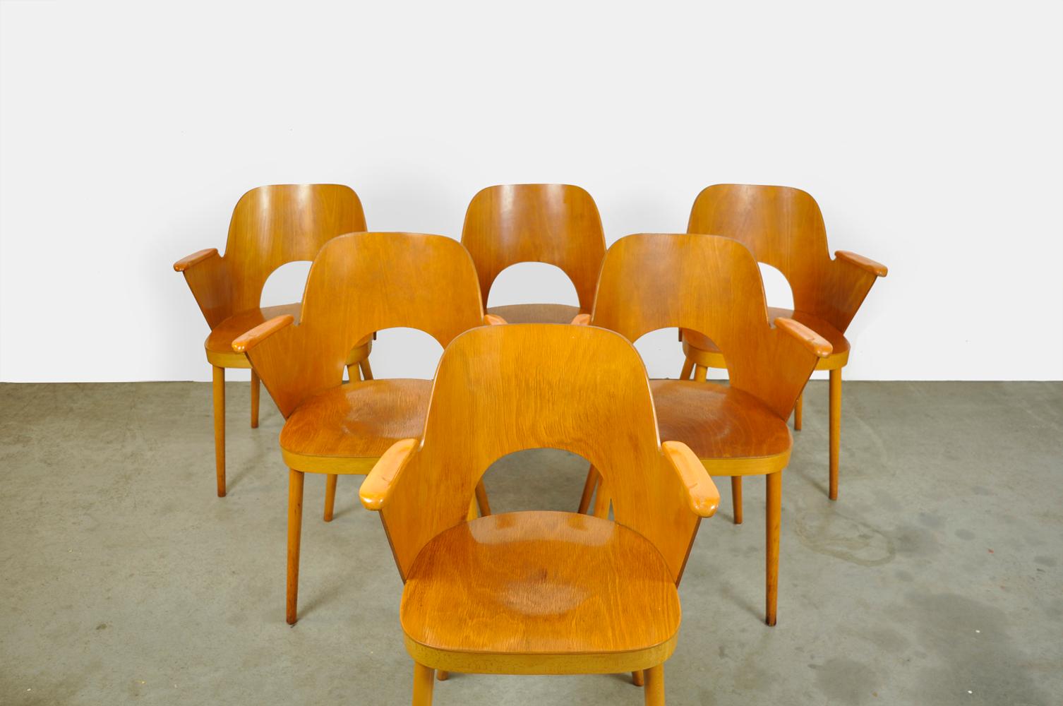 Beech Dining Chairs by Oswald Haerdtl and Produced by Ton 'Thonet' For Sale 1