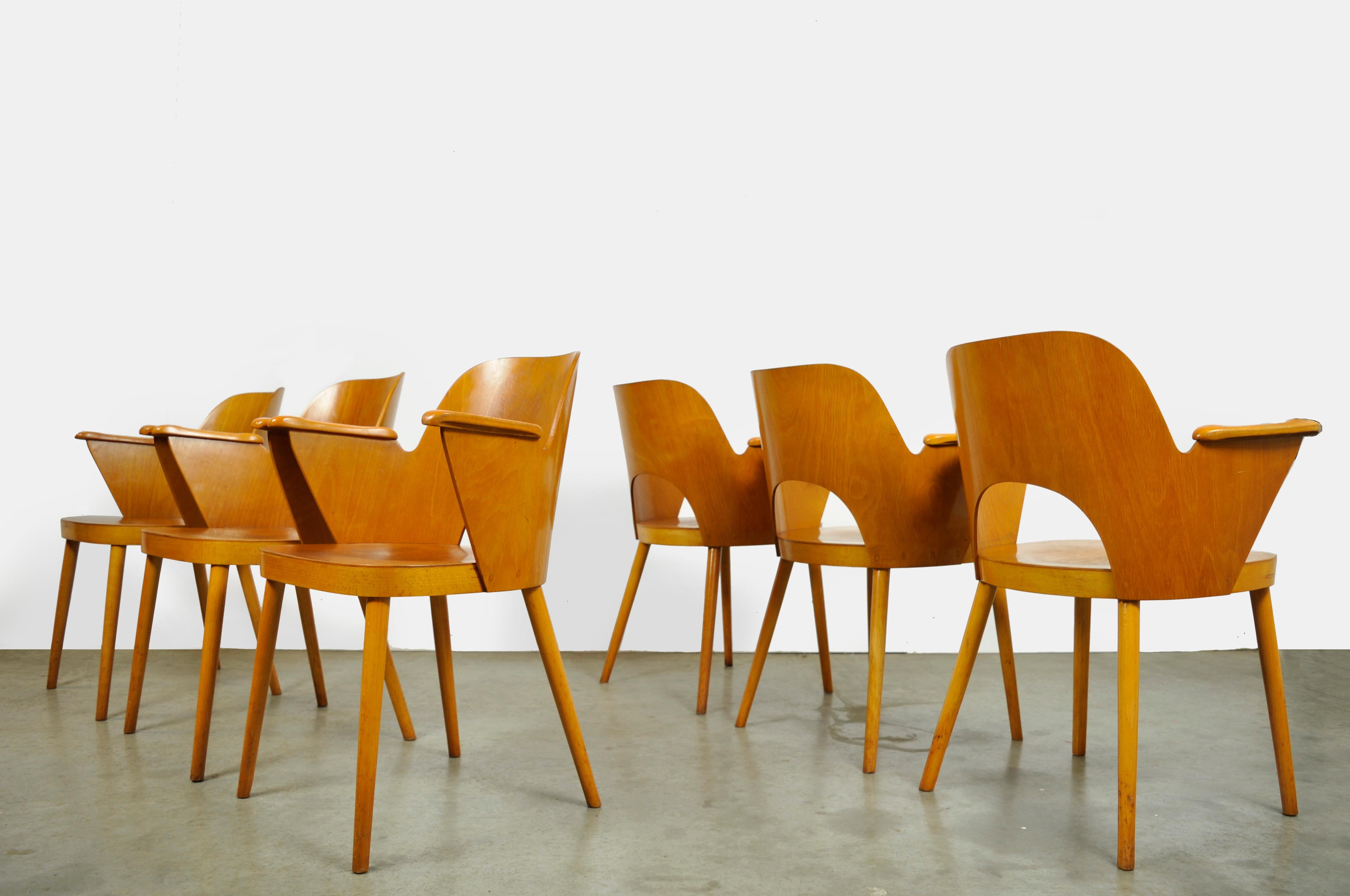 Beech Dining Chairs by Oswald Haerdtl and Produced by Ton 'Thonet' For Sale 3