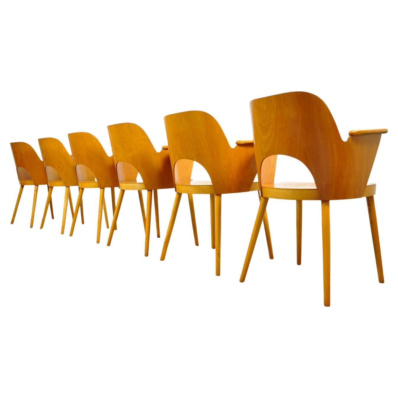 Beech Dining Chairs by Oswald Haerdtl and Produced by Ton 'Thonet' For Sale