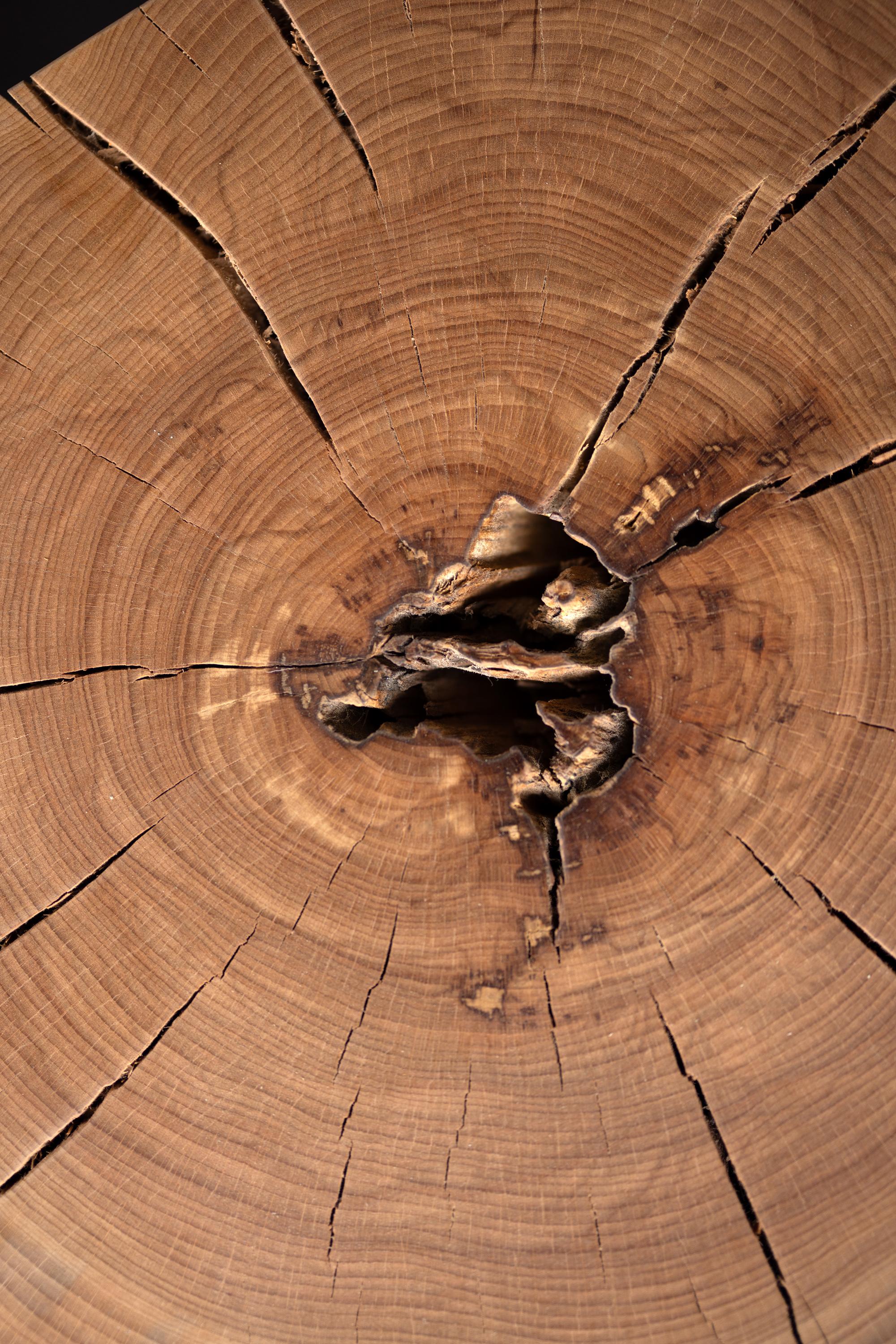 Table d'appoint en bois massif de Beeche (12