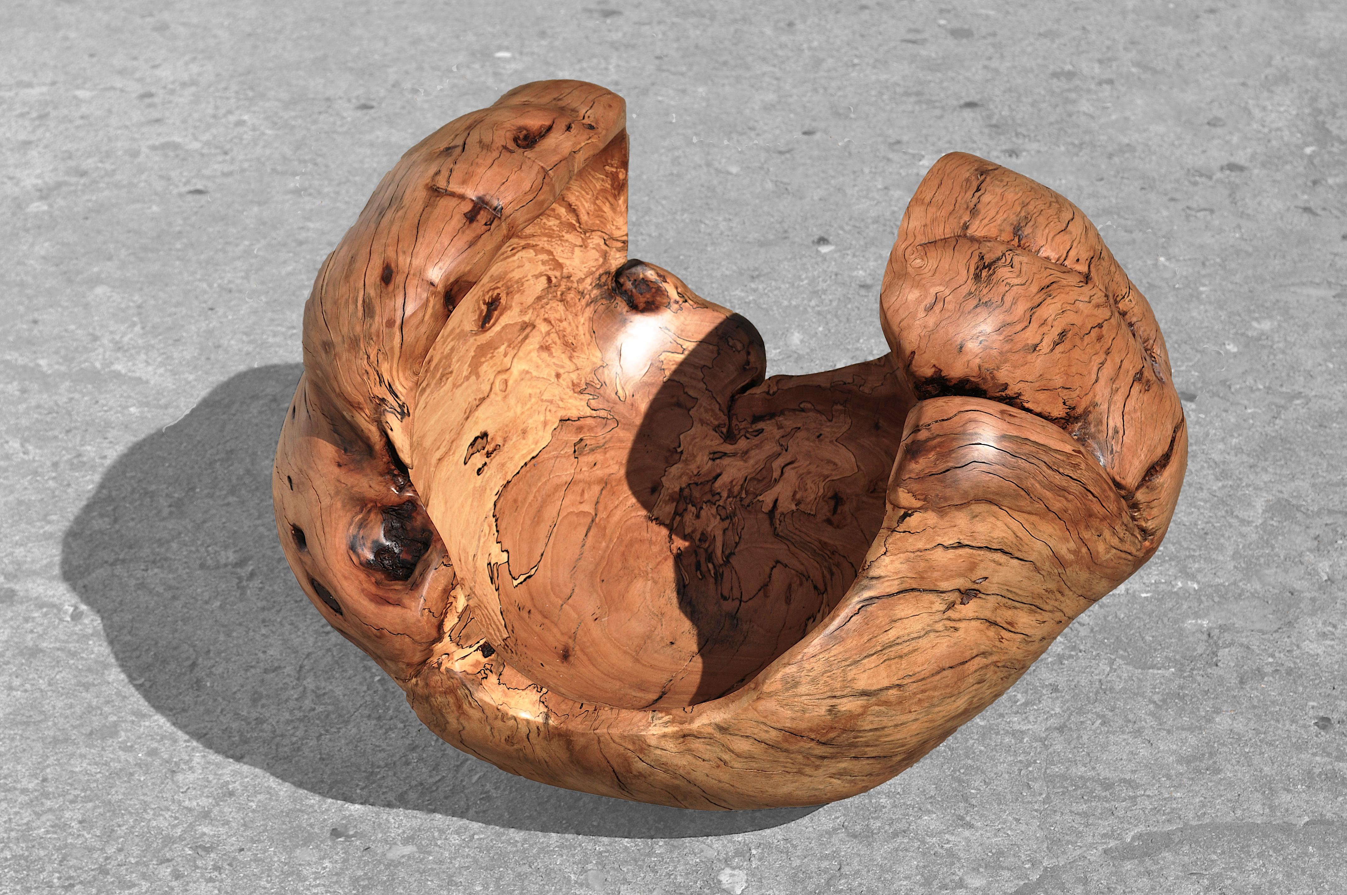 Beech vessel 1396 by Jörg Pietschmann
Dimensions: D 45 x W 60 x H 55 cm 
Materials: beech wood. 
Finish: polished oil finish.


In Pietschmann’s sculptures, trees that for centuries were part of a landscape and founded in primordial forces