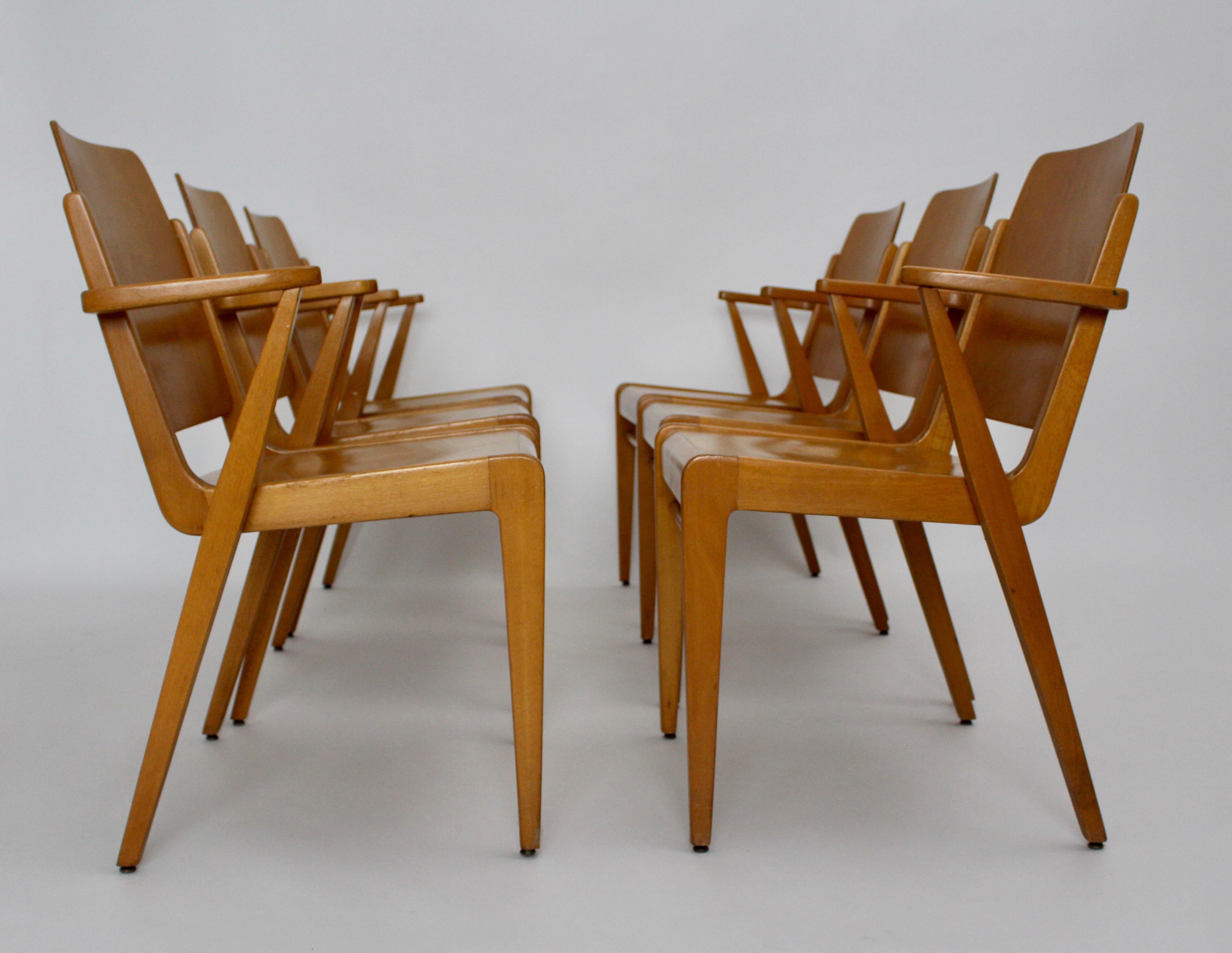 Esszimmerstühle aus Buchenholz Austro by Franz Schuster Wien 1959 Sechser-Set (Moderne der Mitte des Jahrhunderts) im Angebot