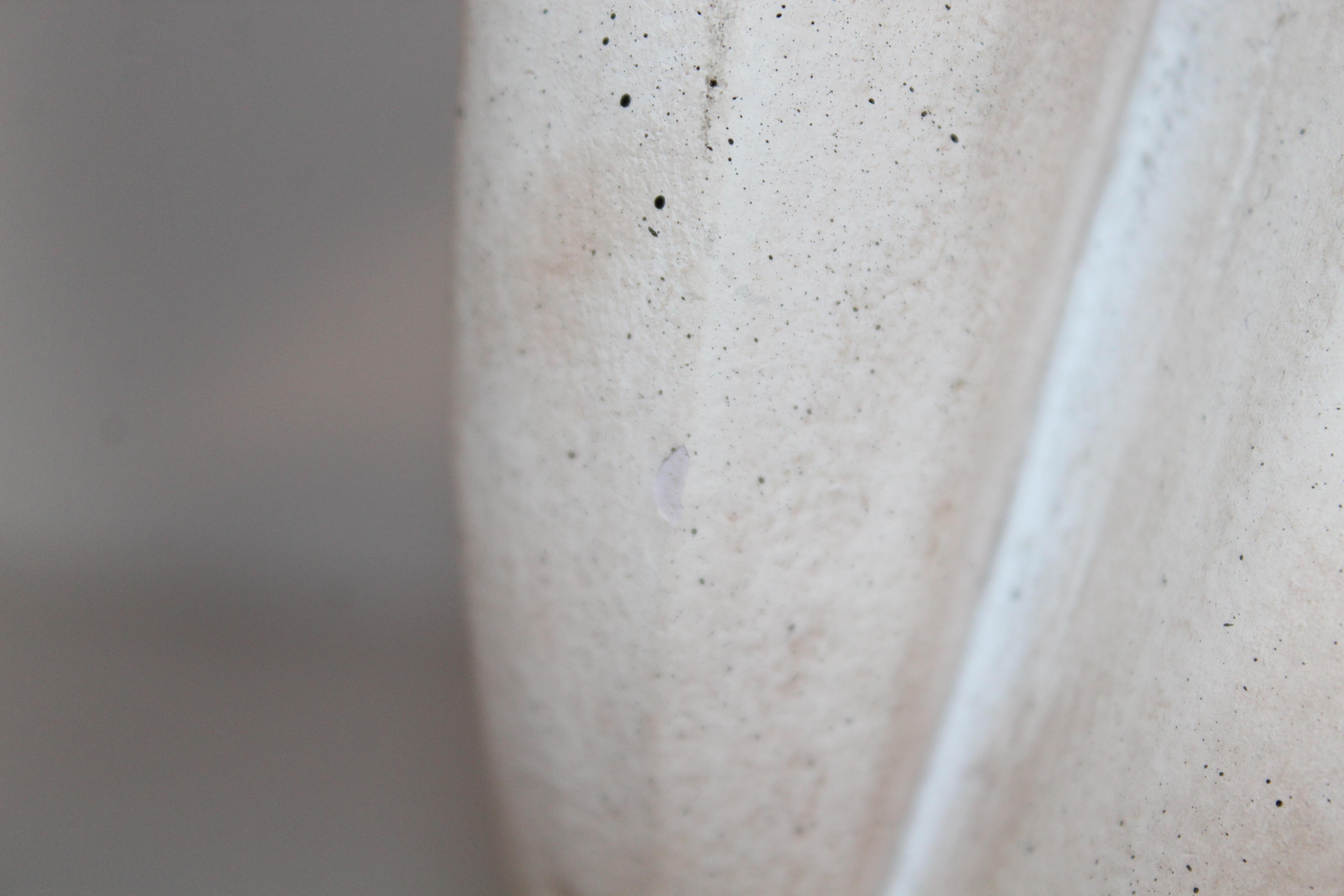 Beginnings' di David Fisher in vendita 3
