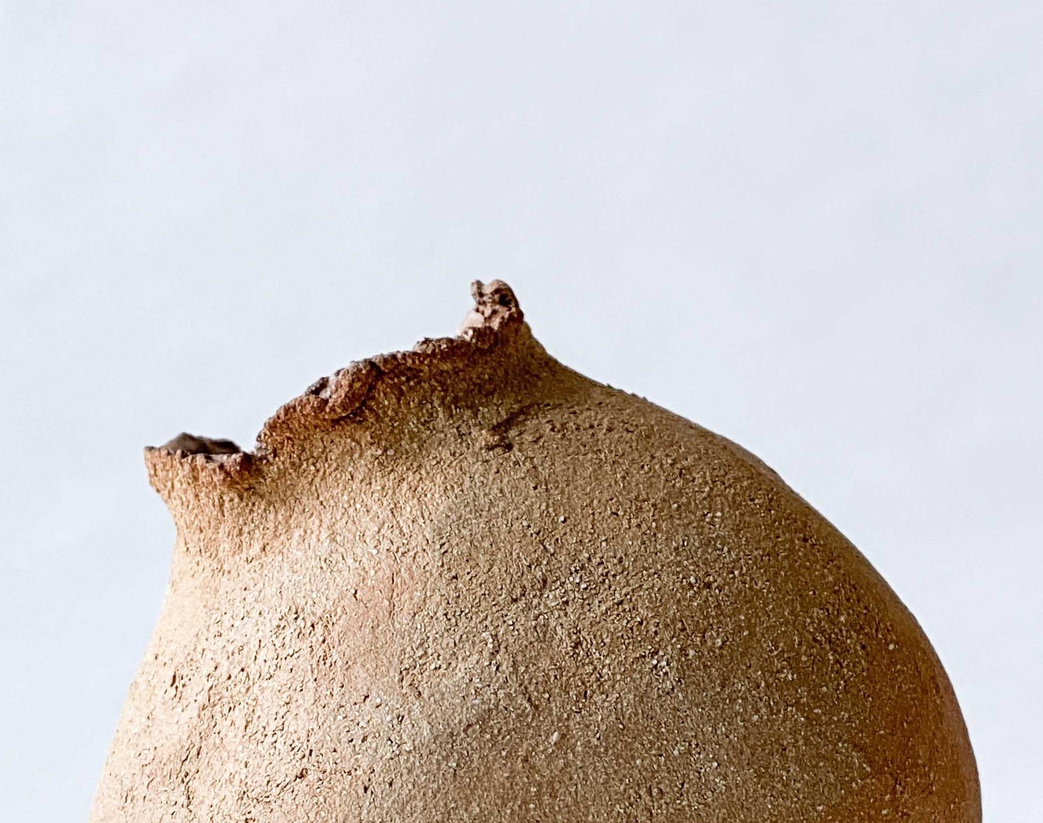 Norvegese Behind The Radiator Decorative Ceramic Vase by Lillian Tørlen in vendita