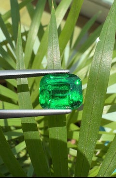 Behold this breathtaking vivid Green 5.14 ct Tzavorite from Tanzania