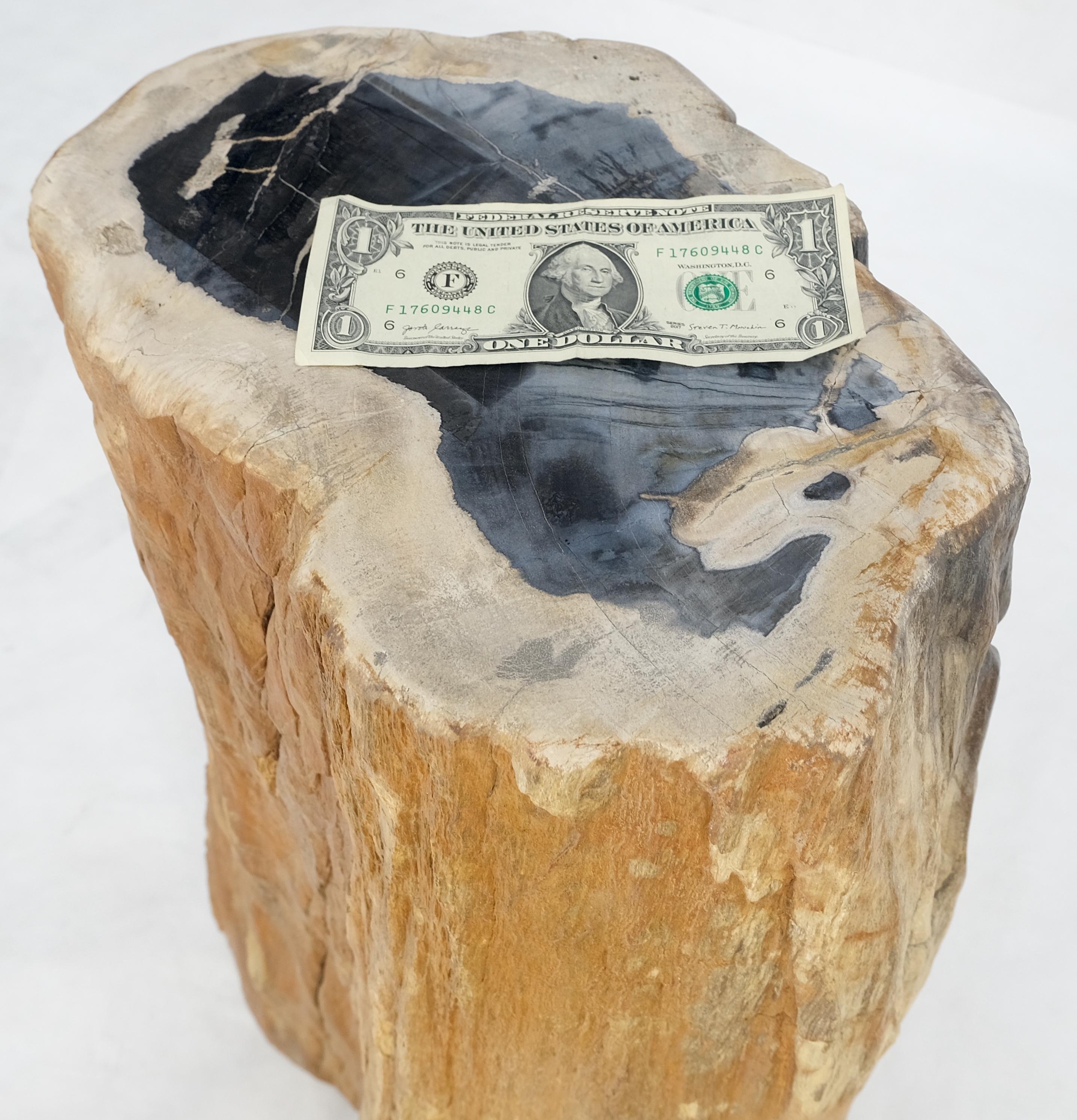 Beige Black Petrified Wood Organic Stomp Shape Stand End Side Table Pedestal For Sale 3