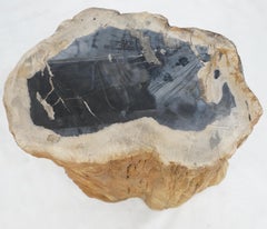 Beige Black Petrified Wood Organic Stomp Shape Stand End Side Table Pedestal