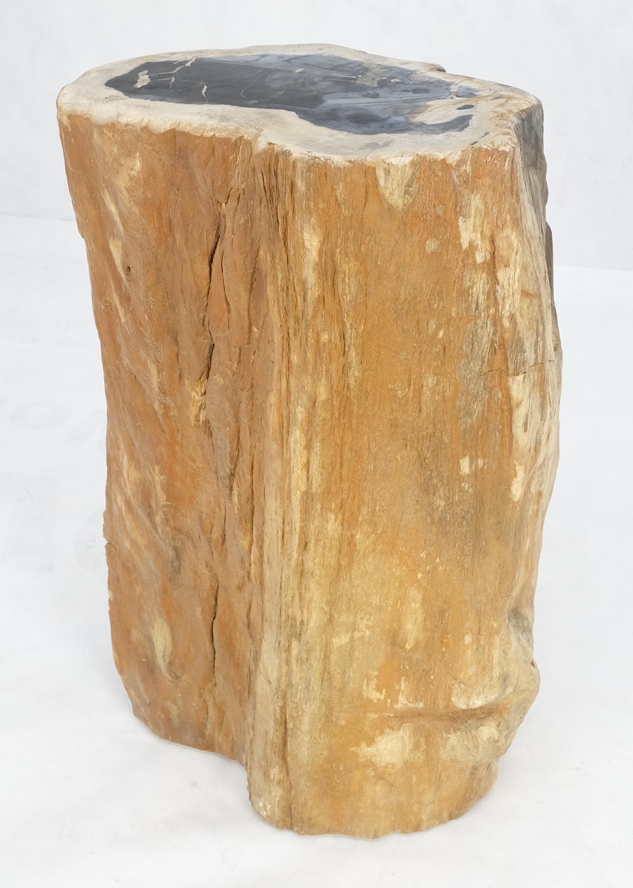 Mid-Century Modern Beige Black Petrified Wood Organic Stomp Shape Stand End Side Table Pedestal For Sale
