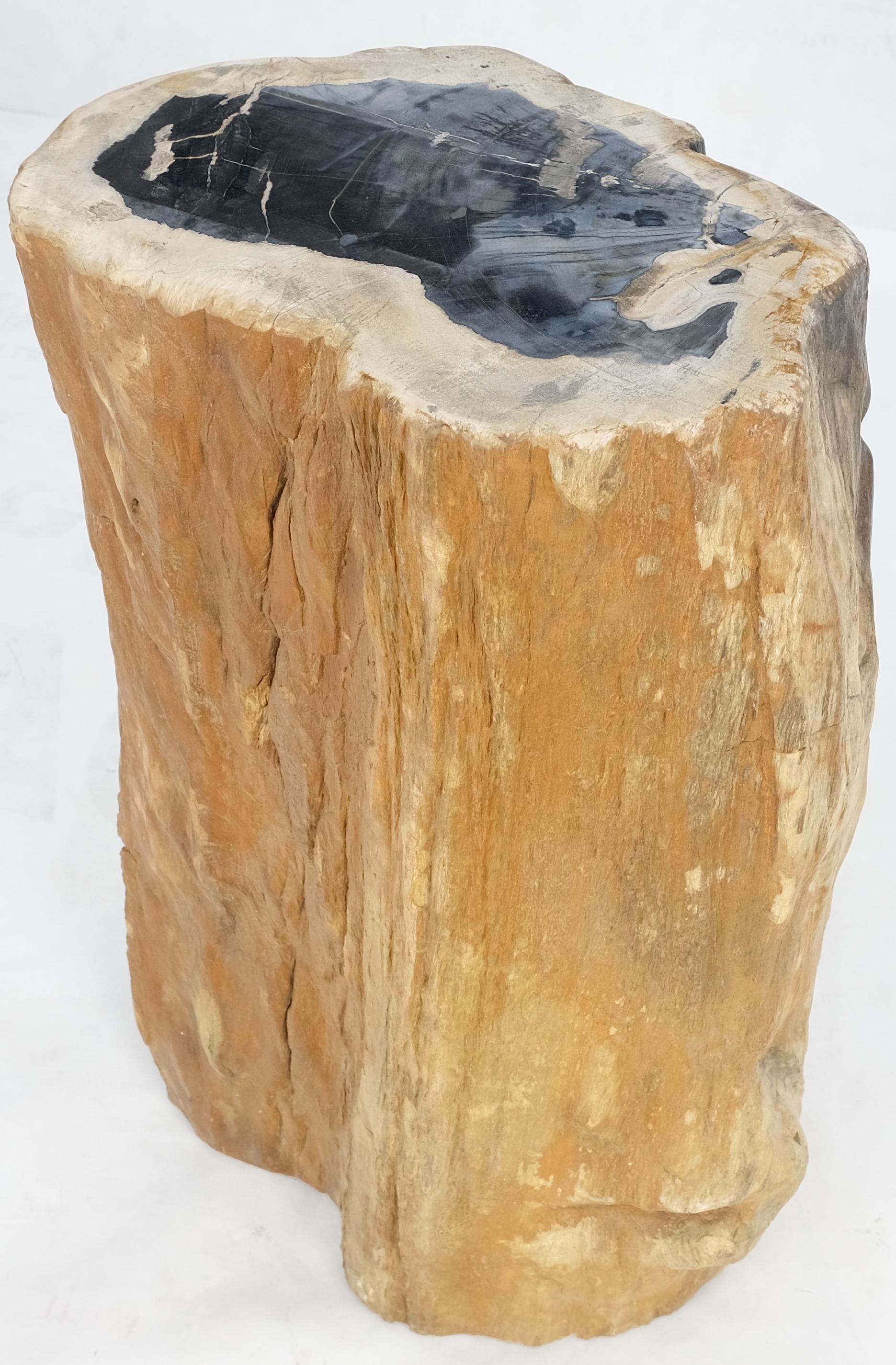Polished Beige Black Petrified Wood Organic Stomp Shape Stand End Side Table Pedestal For Sale