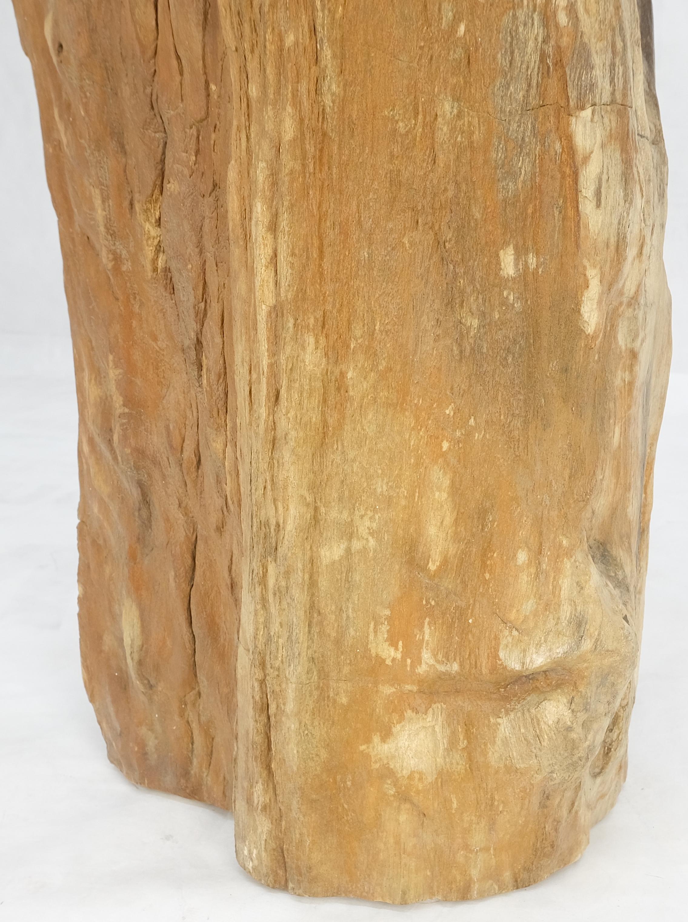 Beige Schwarz Versteinertes Holz Organic Stomp Shape Stand End Side Table Pedestal (Poliert) im Angebot