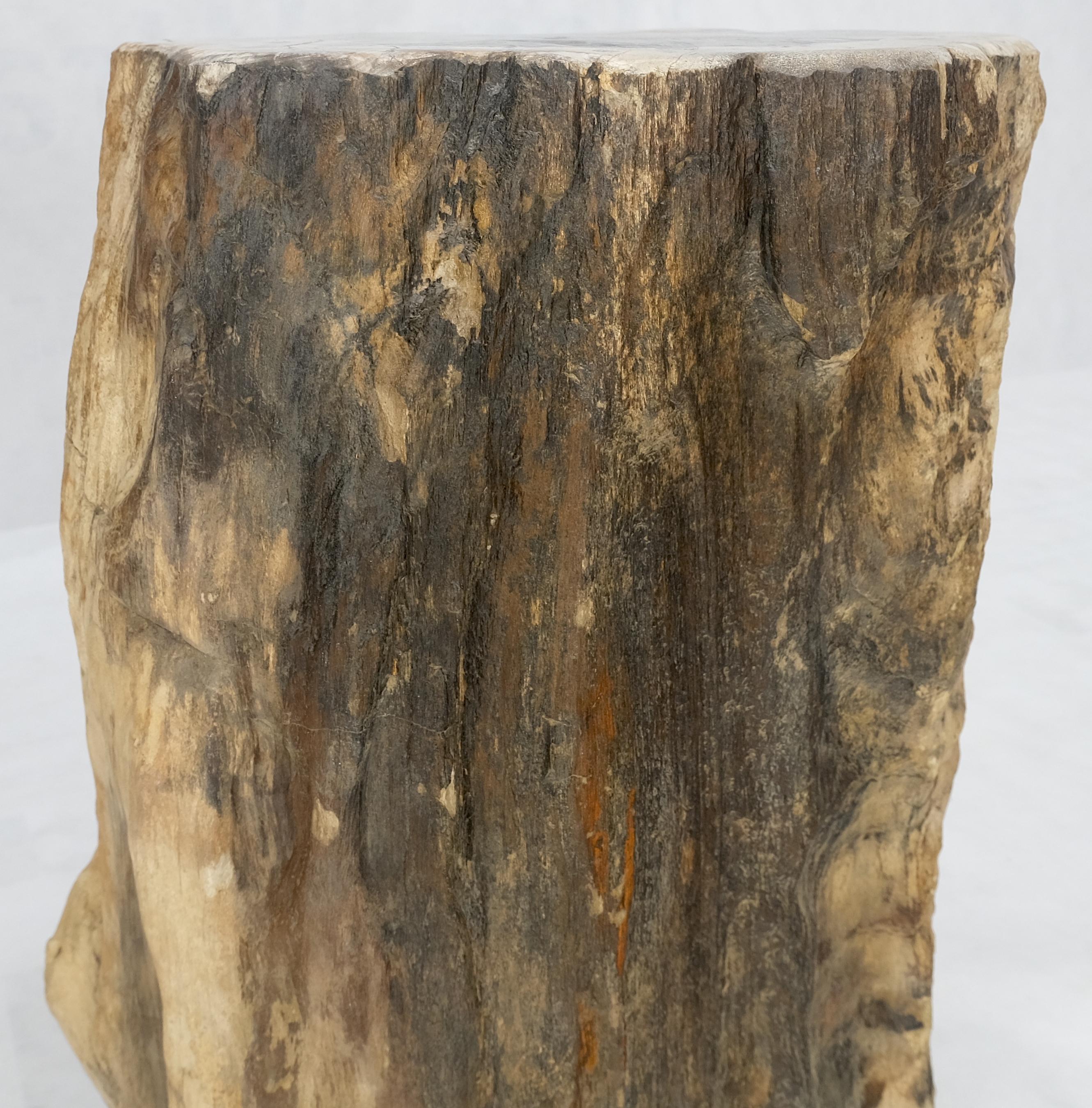 Beige Black Petrified Wood Organic Stomp Shape Stand End Side Table Pedestal For Sale 1