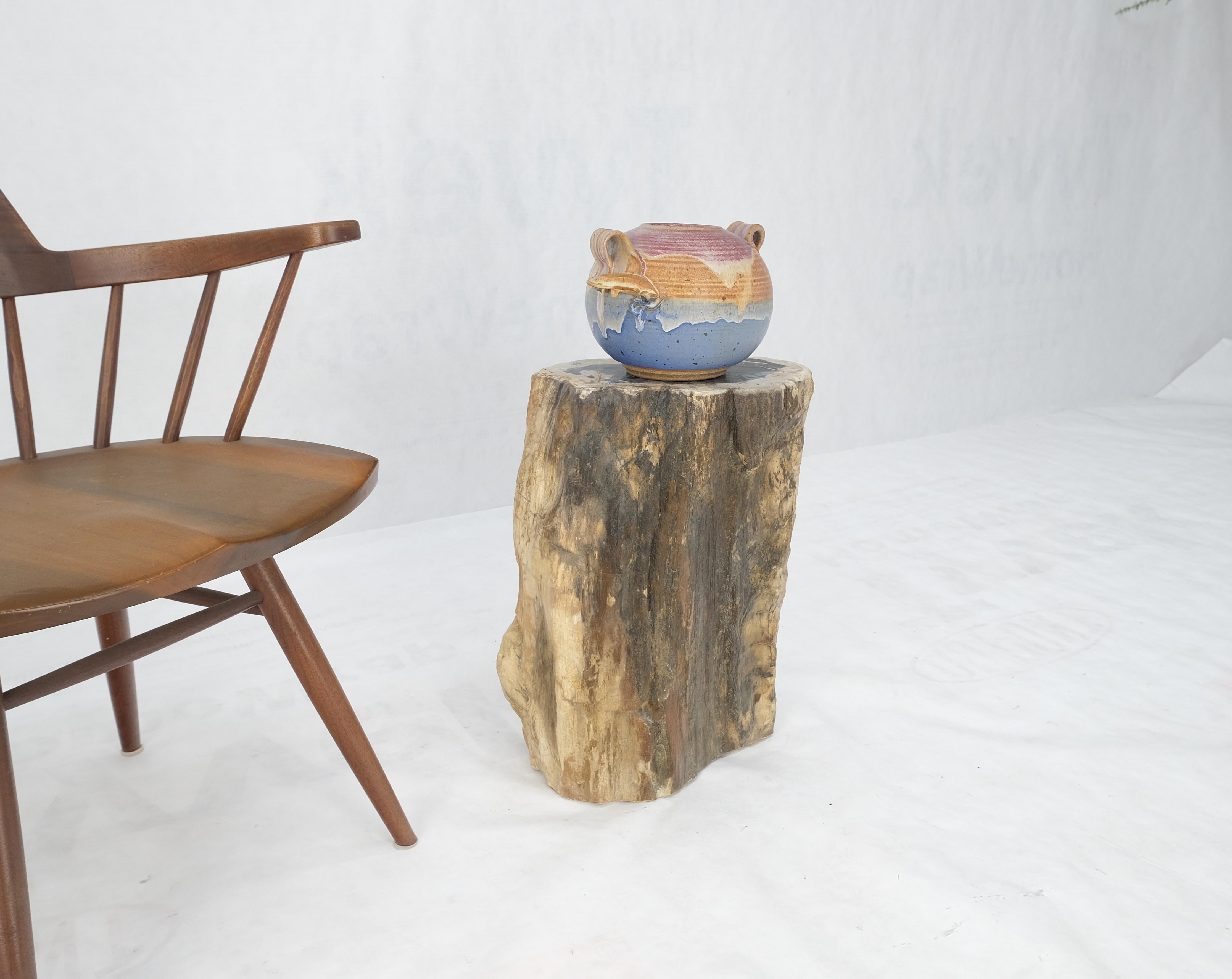 Beige Black Petrified Wood Organic Stomp Shape Stand End Side Table Pedestal For Sale 2