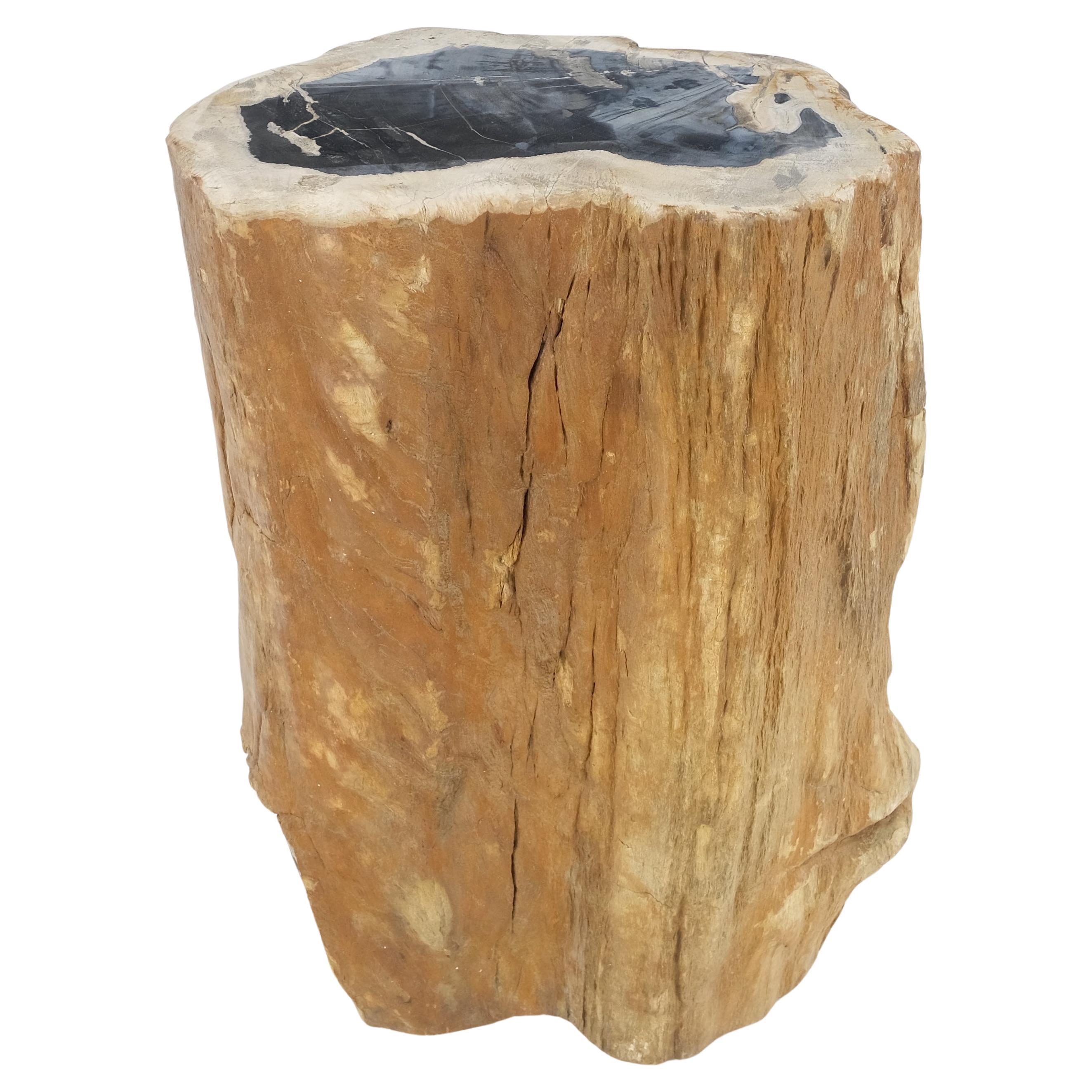 Beige Black Petrified Wood Organic Stomp Shape Stand End Side Table Pedestal For Sale