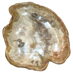 Beige Colored Petrified Wood Shallow Bowl, Indonesia, Contemporary