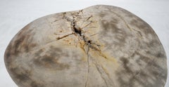 Beige Large Petrified Wood Organic Stomp Shape Stand End Side Table Pedestal