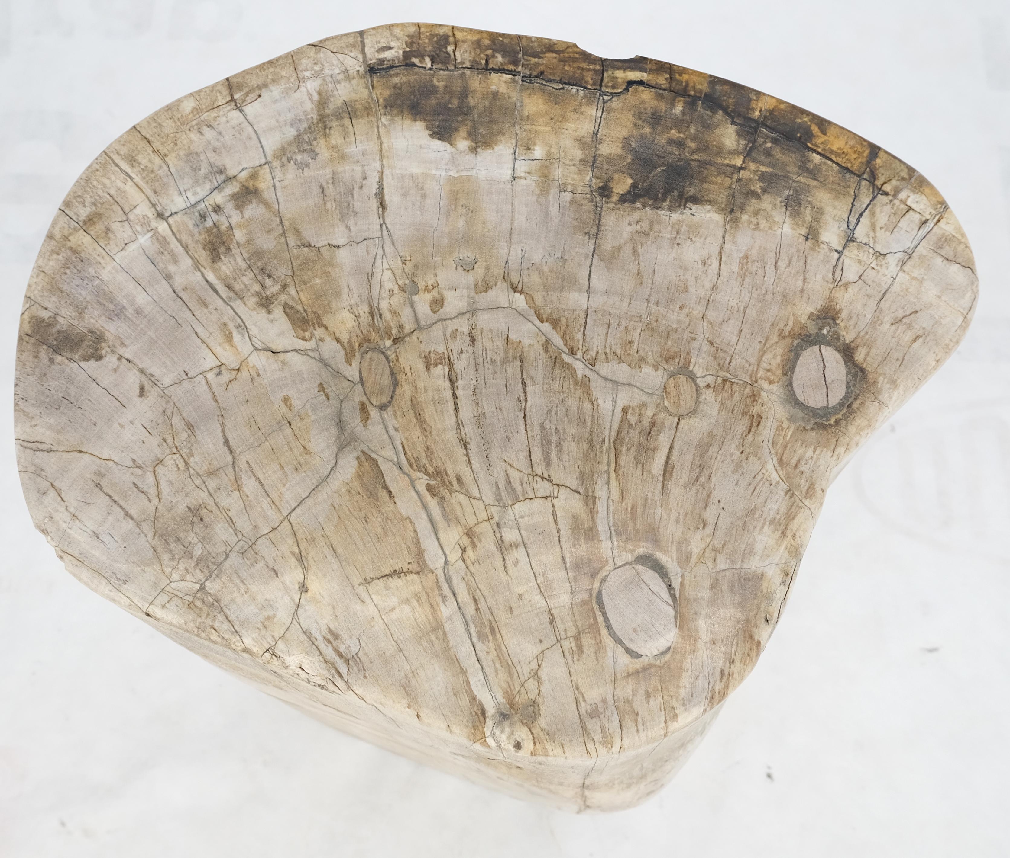 Beige Large Petrified Wood Organic Stomp Shape Stand End Side Table Pedestal (Moderne der Mitte des Jahrhunderts)