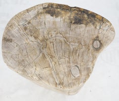 Beige Large Petrified Wood Organic Stomp Shape Stand End Side Table Pedestal