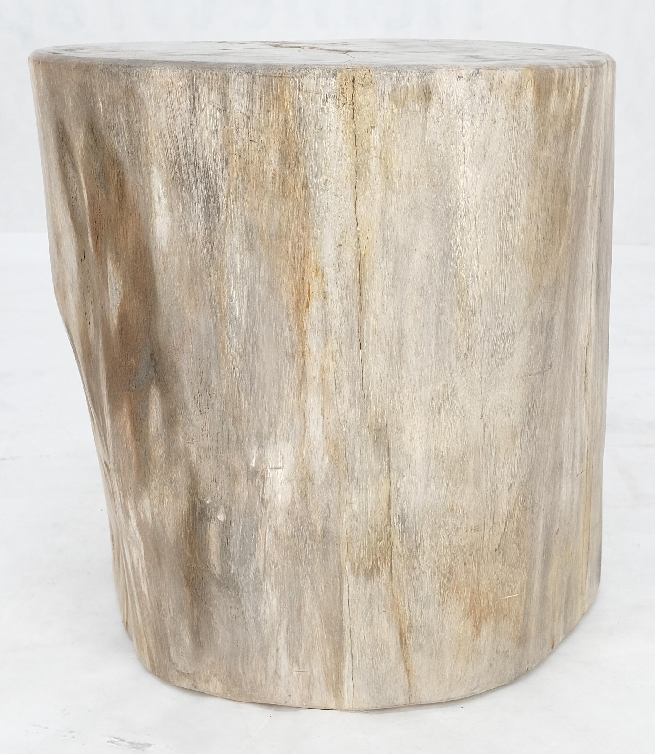 Mid-Century Modern Beige Large Petrified Wood Organic Stomp Shape Stand End Side Table Pedestal For Sale