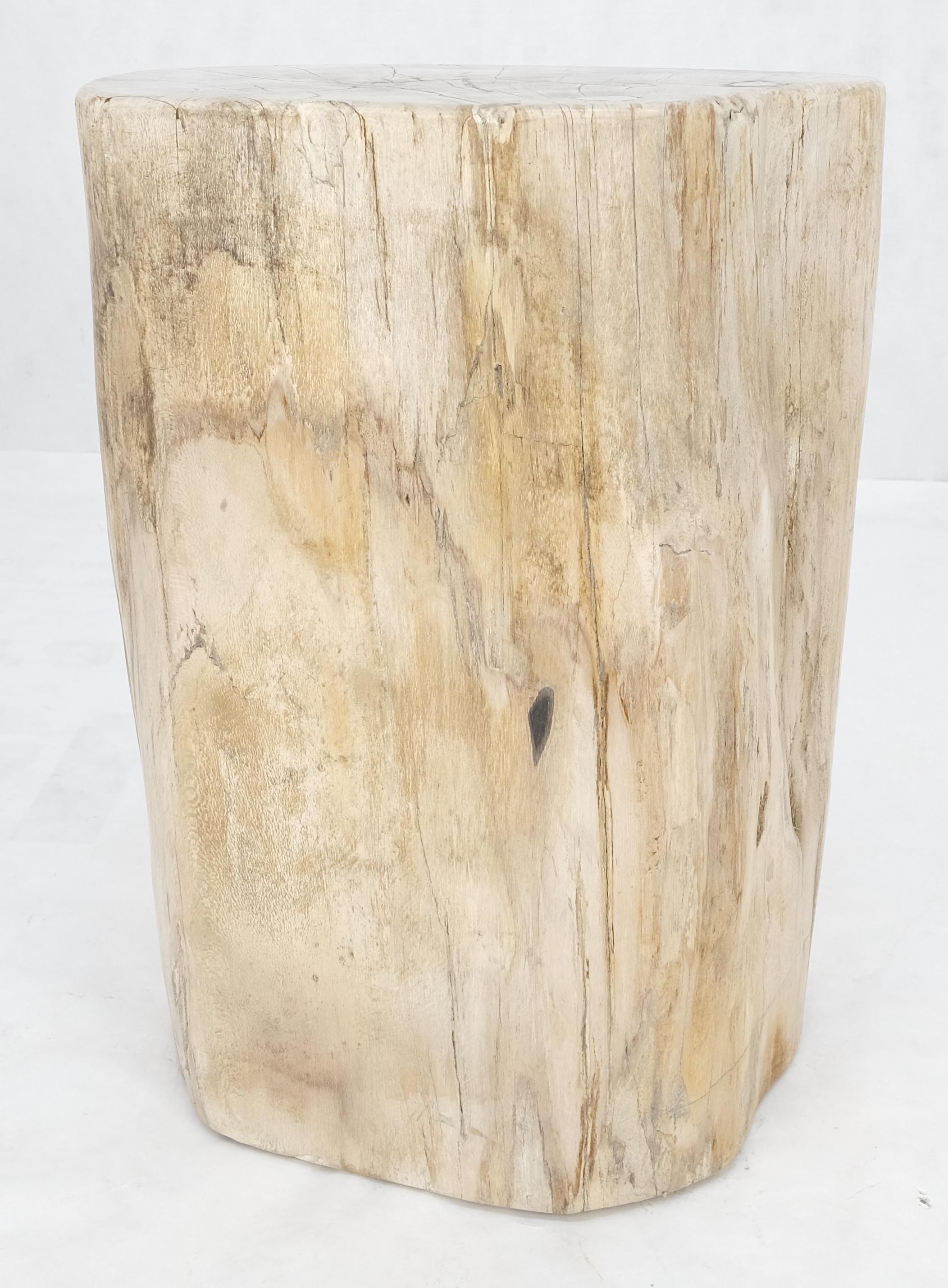 Indonesian Beige Large Petrified Wood Organic Stomp Shape Stand End Side Table Pedestal For Sale