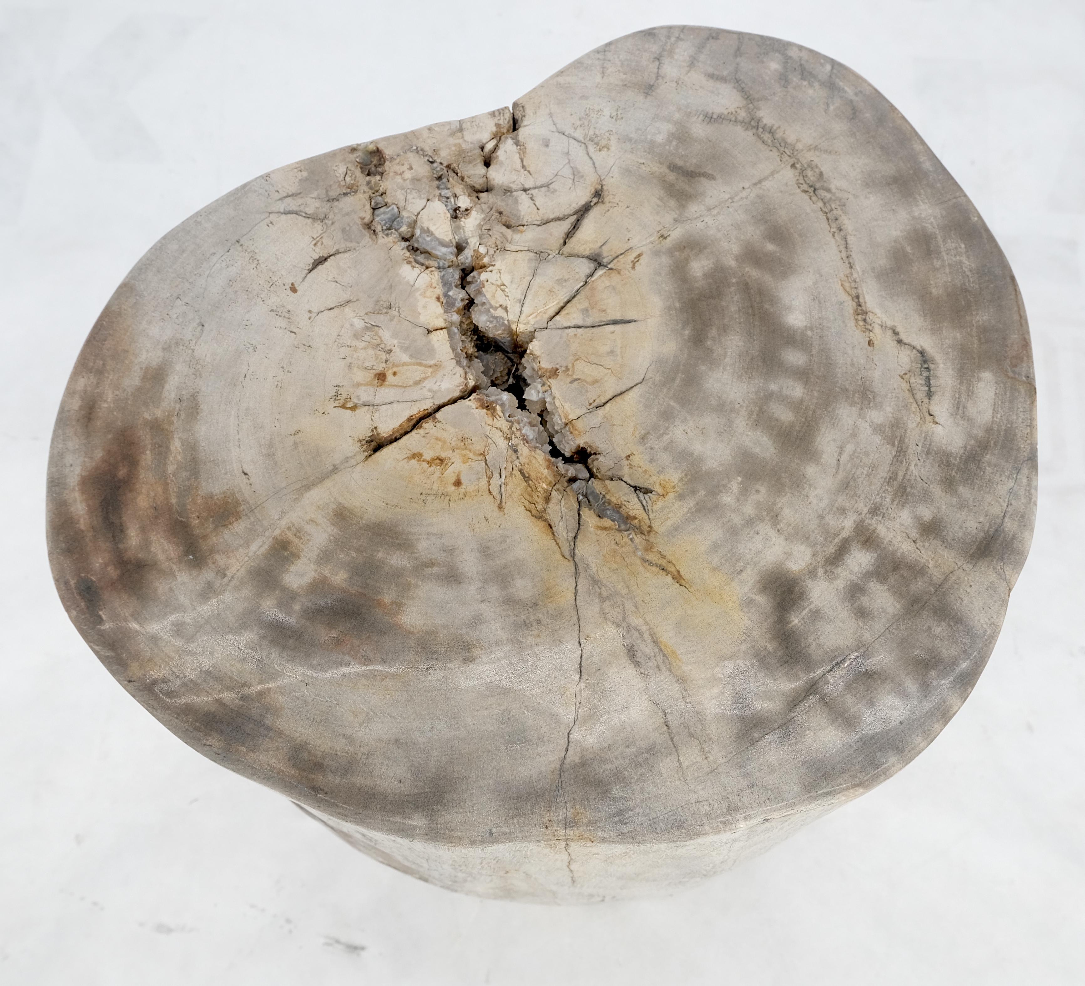 Indonesian Beige Large Petrified Wood Organic Stomp Shape Stand End Side Table Pedestal For Sale