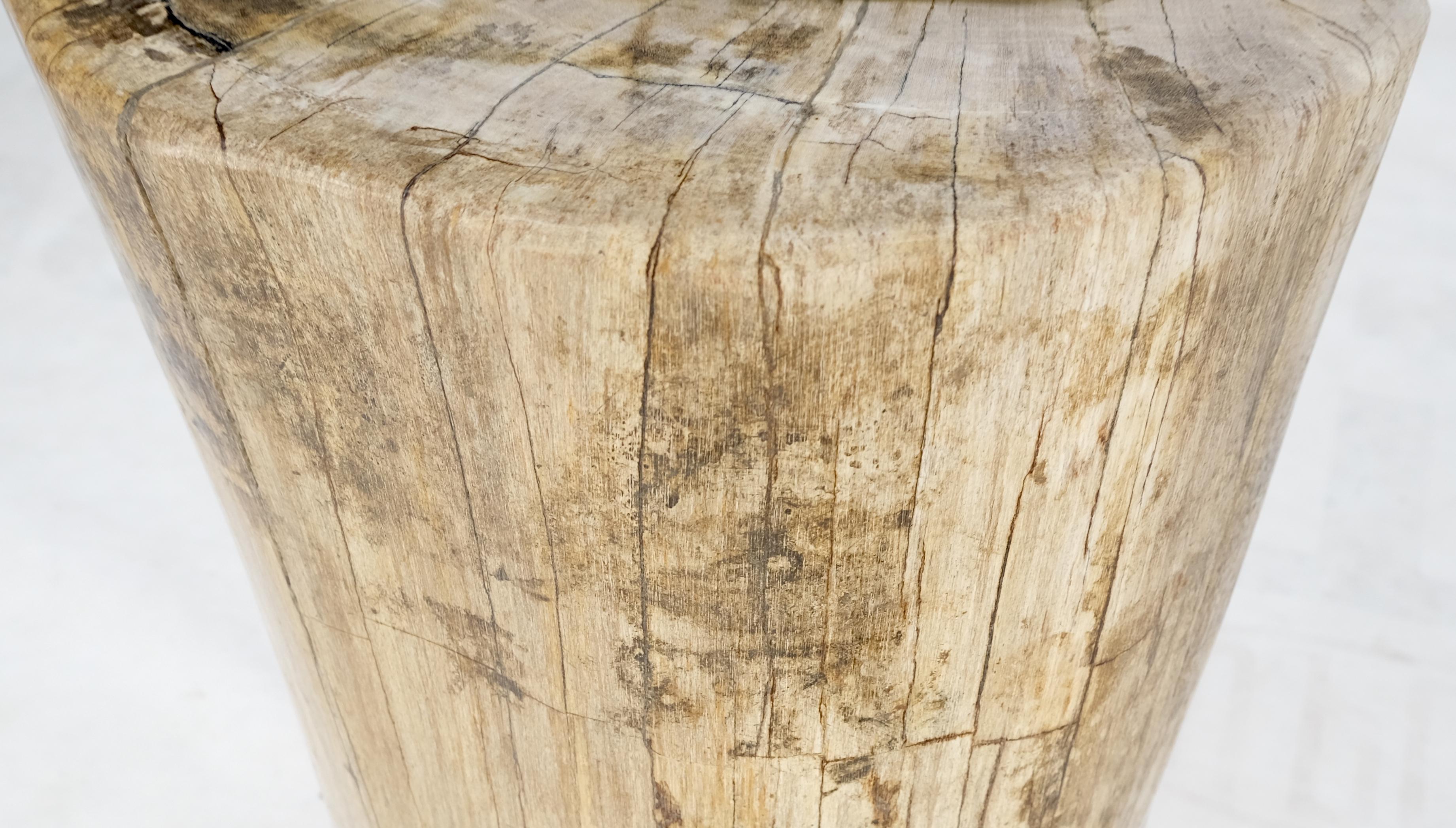 Beige Large Petrified Wood Organic Stomp Shape Stand End Side Table Pedestal im Zustand „Hervorragend“ im Angebot in Rockaway, NJ
