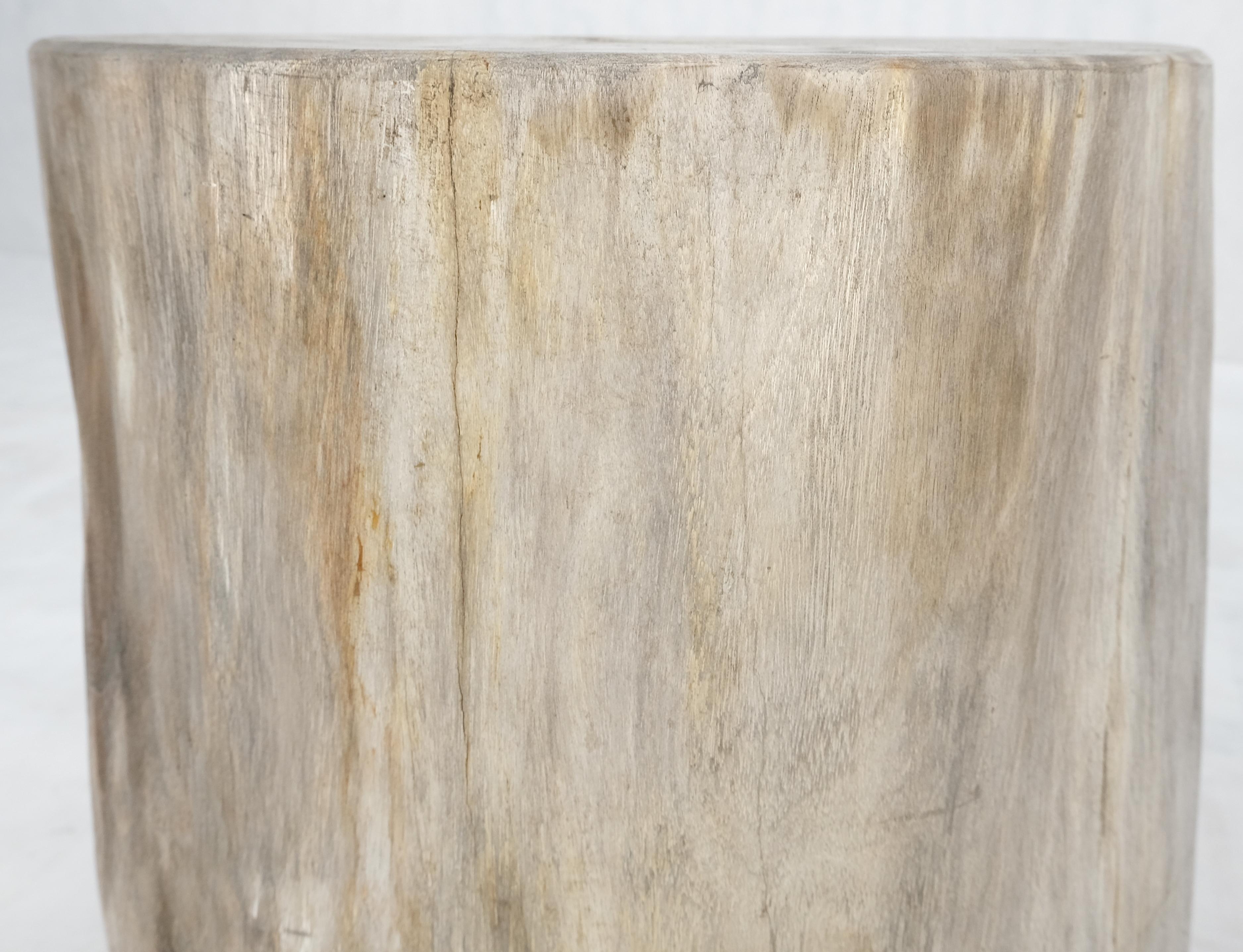 Polished Beige Large Petrified Wood Organic Stomp Shape Stand End Side Table Pedestal For Sale