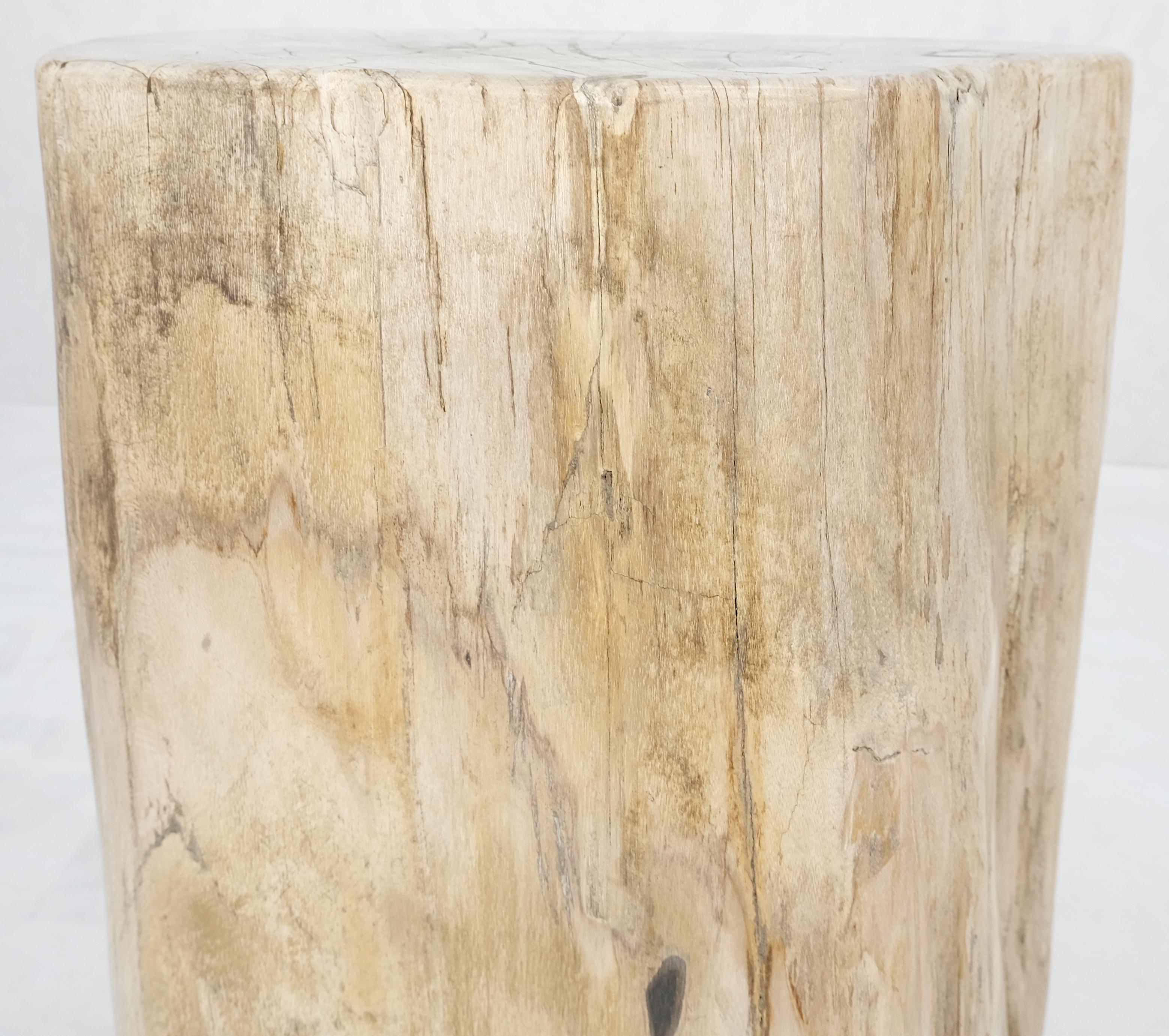 Contemporary Beige Large Petrified Wood Organic Stomp Shape Stand End Side Table Pedestal For Sale