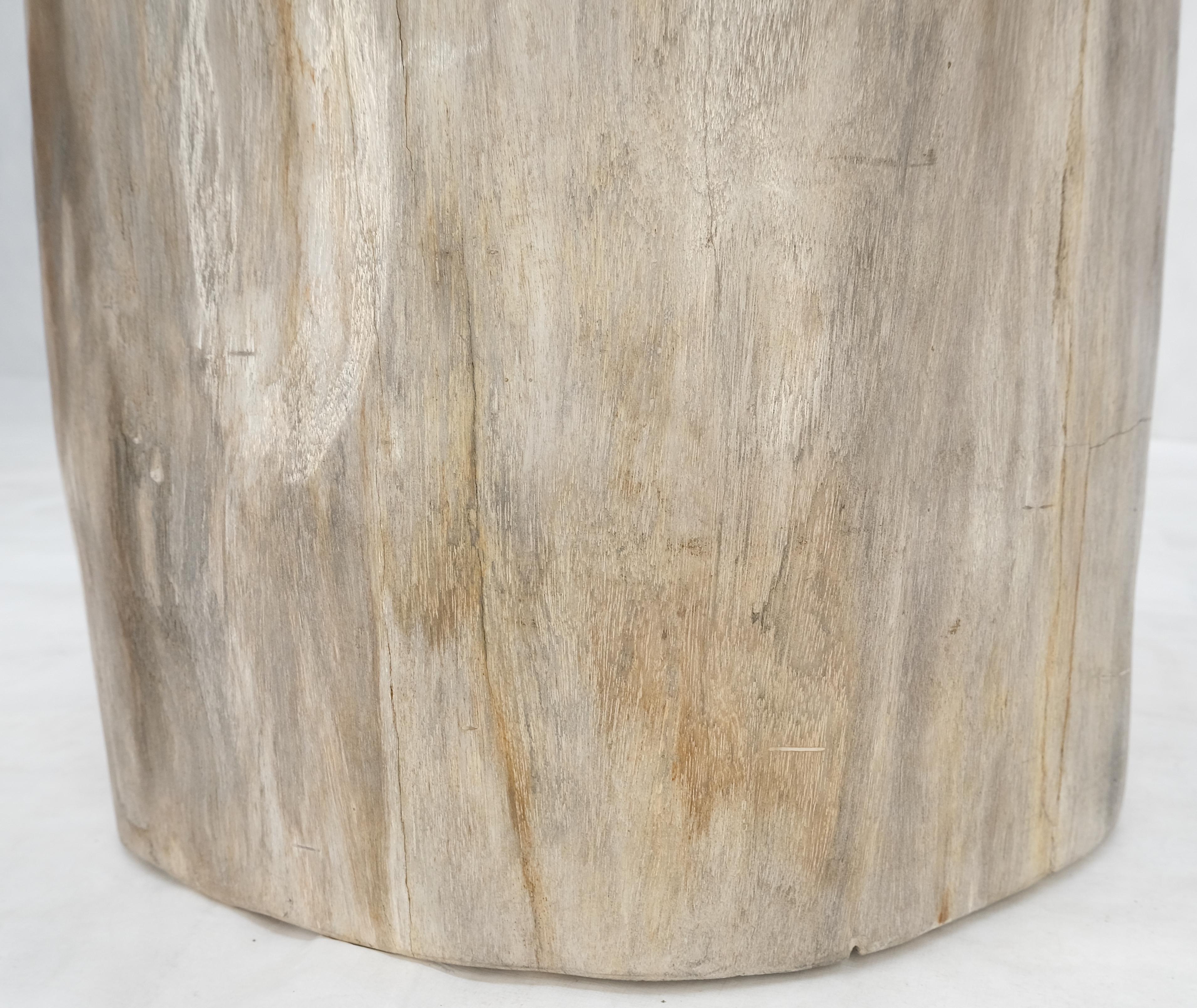 Beige Large Petrified Wood Organic Stomp Shape Stand End Side Table Pedestal Excellent état - En vente à Rockaway, NJ