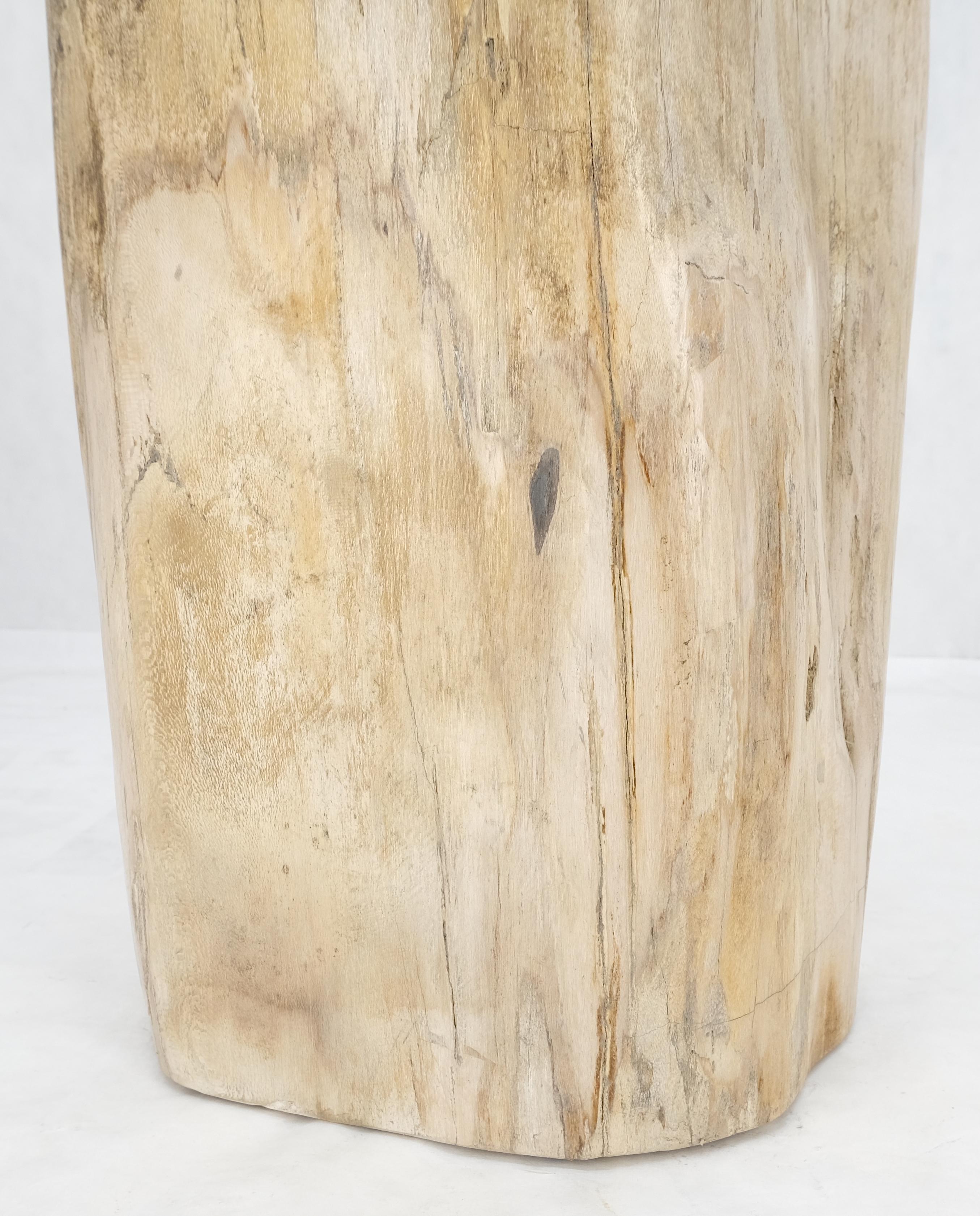Beige Large Petrified Wood Organic Stomp Shape Stand End Side Table Pedestal (Versteinertes Holz) im Angebot