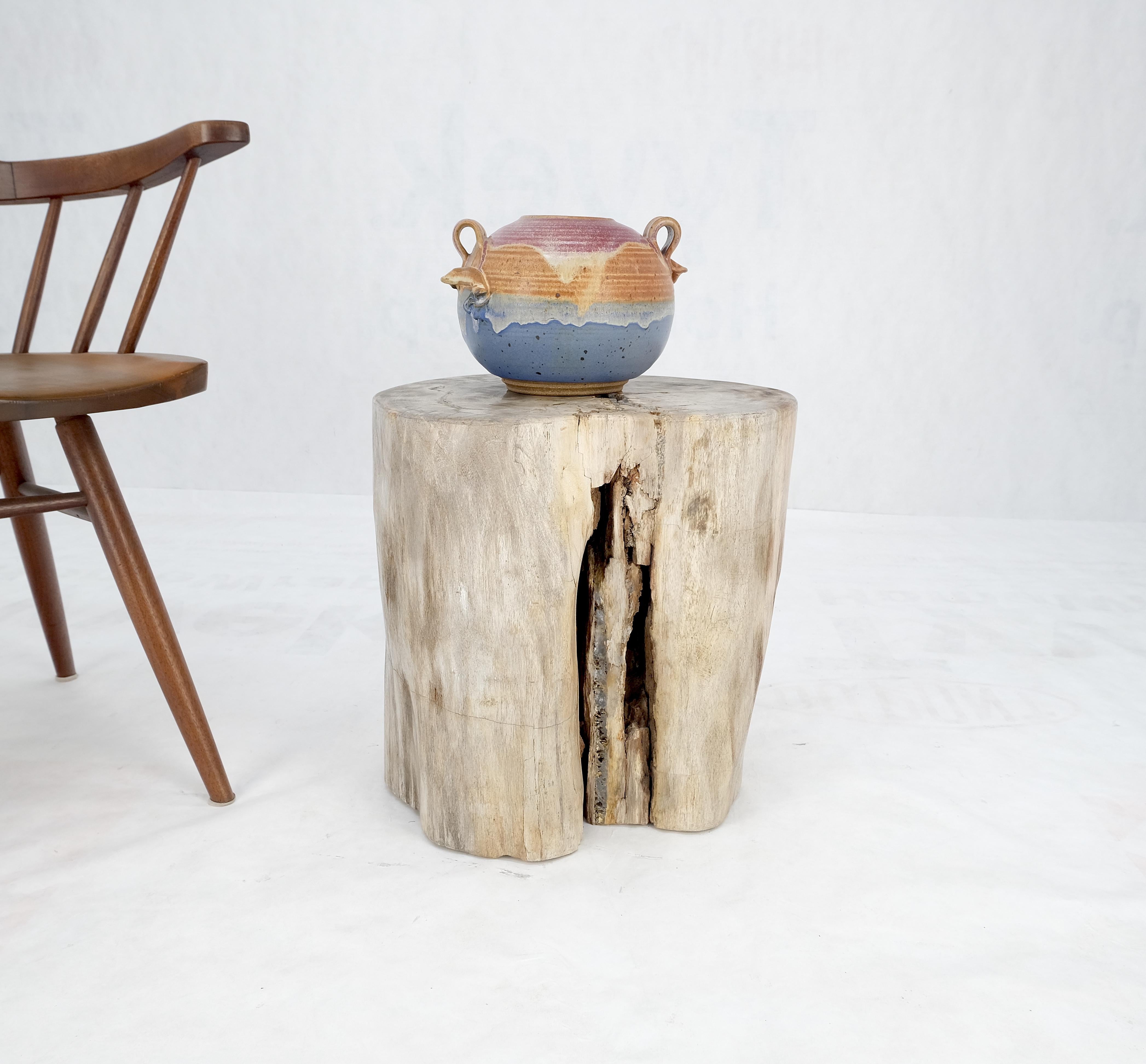 Beige Large Petrified Wood Organic Stomp Shape Stand End Side Table Pedestal (21. Jahrhundert und zeitgenössisch) im Angebot