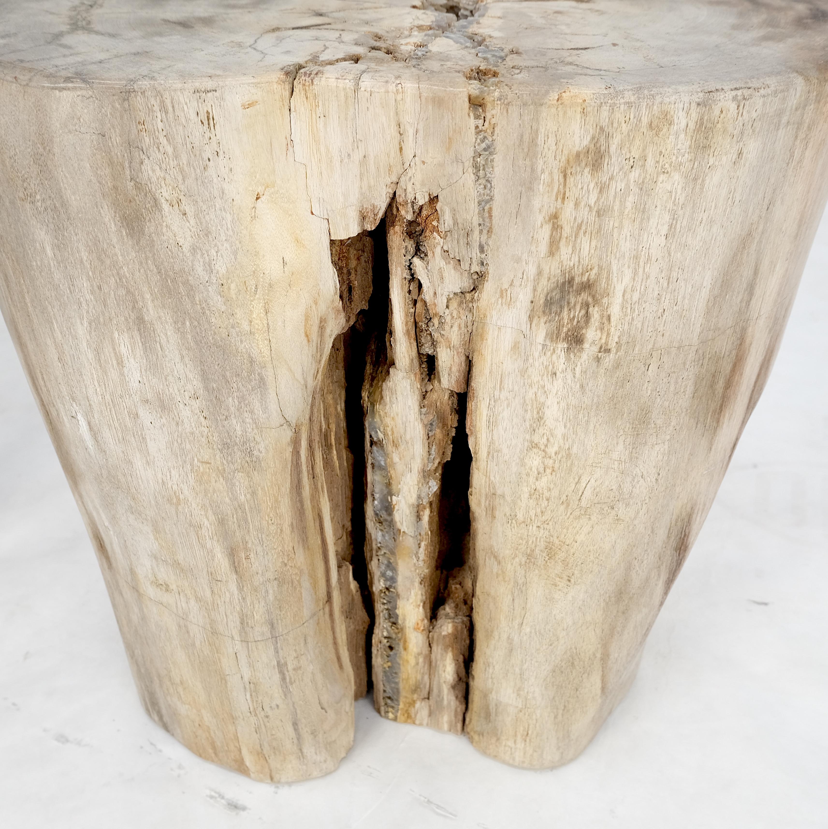 Beige Large Petrified Wood Organic Stomp Shape Stand End Side Table Pedestal For Sale 1