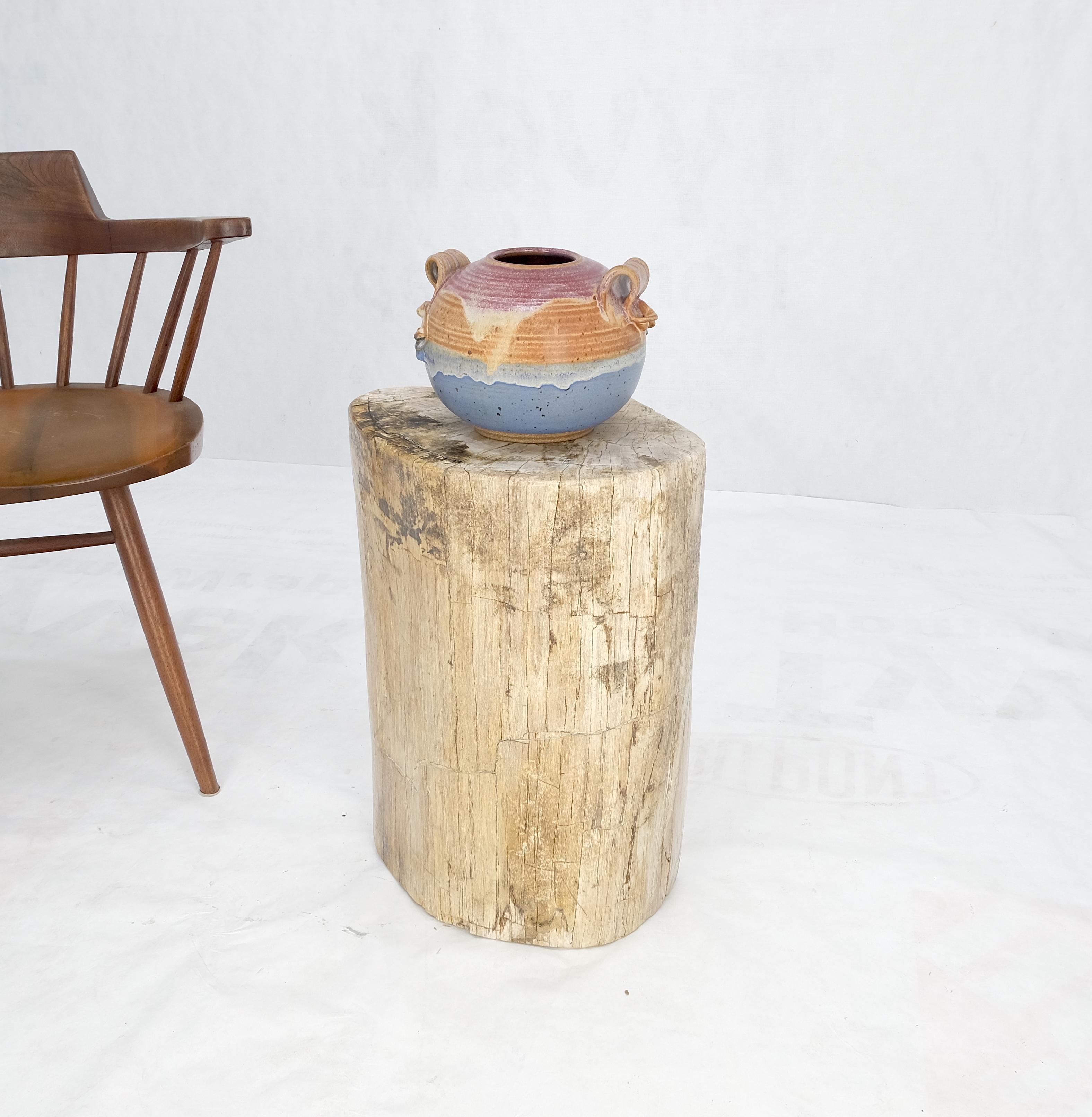 Beige Large Petrified Wood Organic Stomp Shape Stand End Side Table Pedestal im Angebot 2