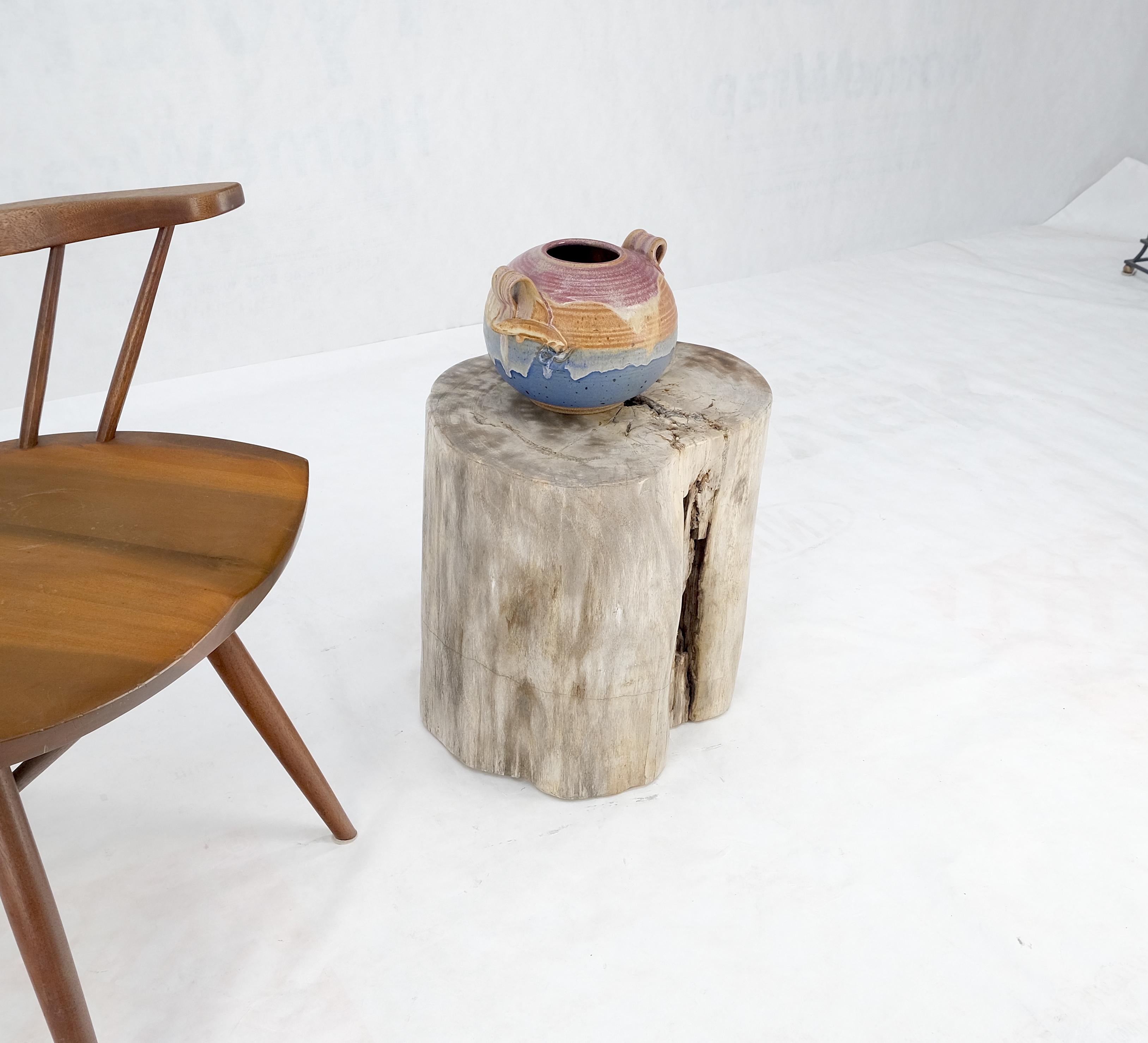 Beige Large Petrified Wood Organic Stomp Shape Stand End Side Table Pedestal im Angebot 1