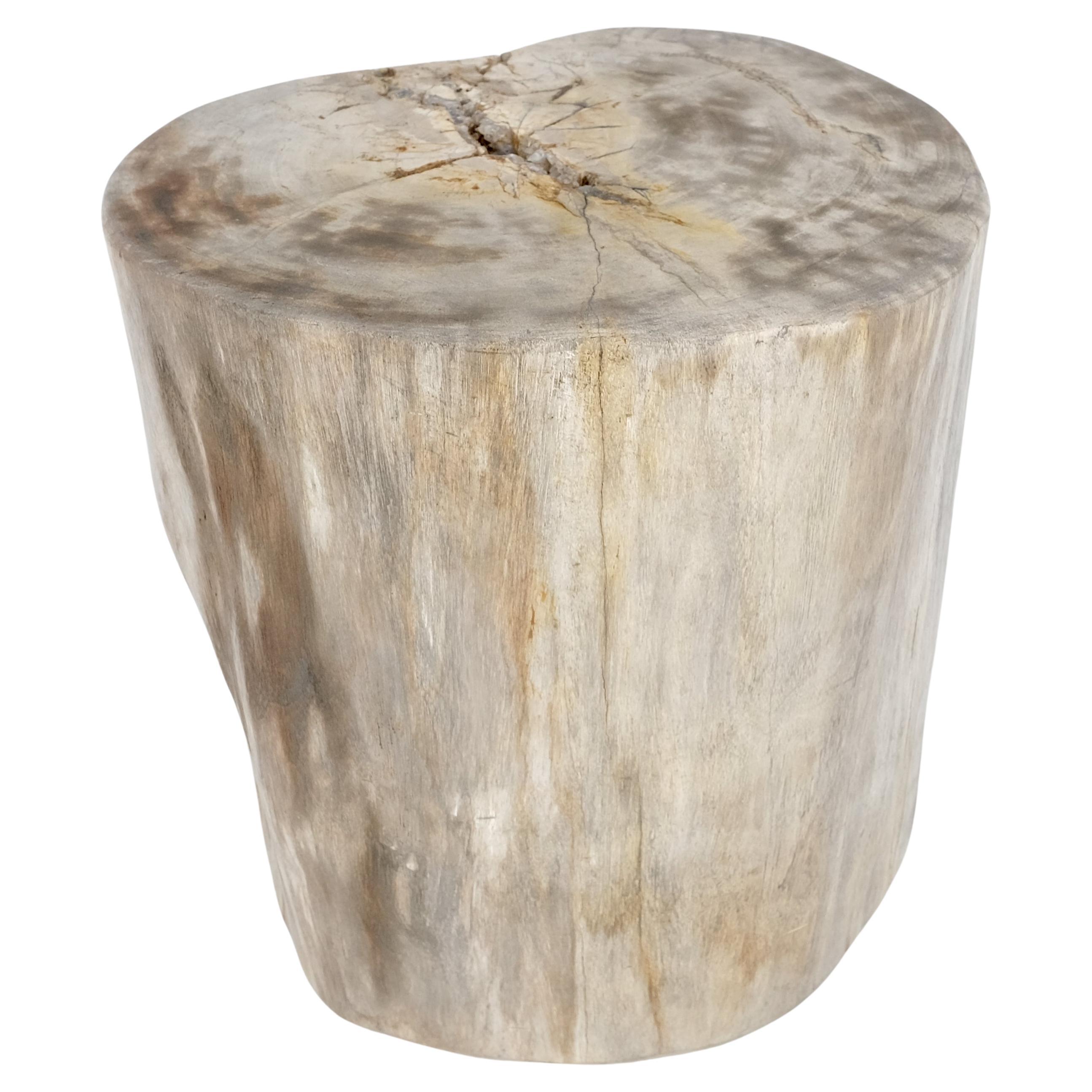 Beige Large Petrified Wood Organic Stomp Shape Stand End Side Table Pedestal For Sale