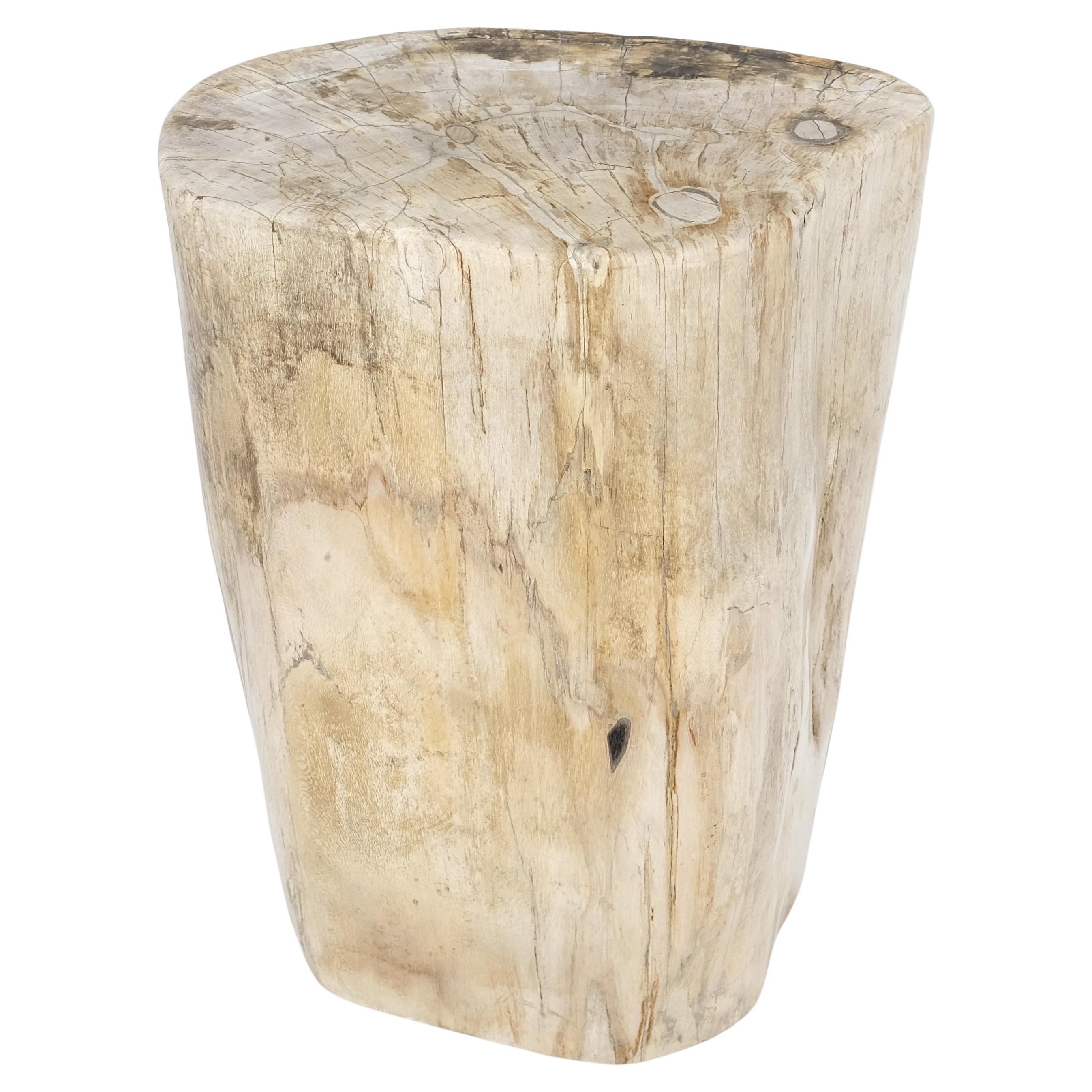 Beige Large Petrified Wood Organic Stomp Shape Stand End Side Table Pedestal For Sale