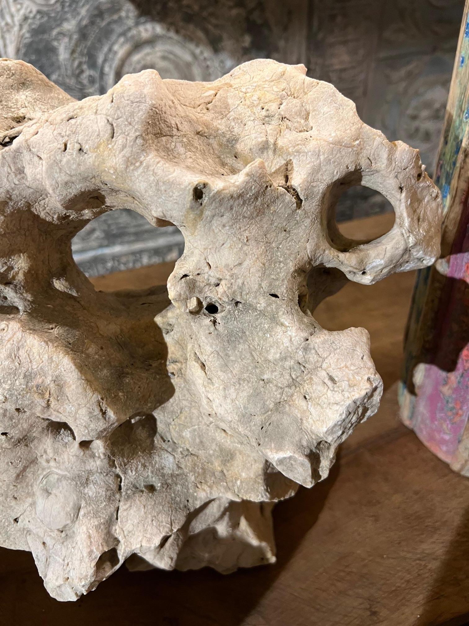 Escultura prehistórica de piedra beige, Indonesia siglo XVIII y antes en venta