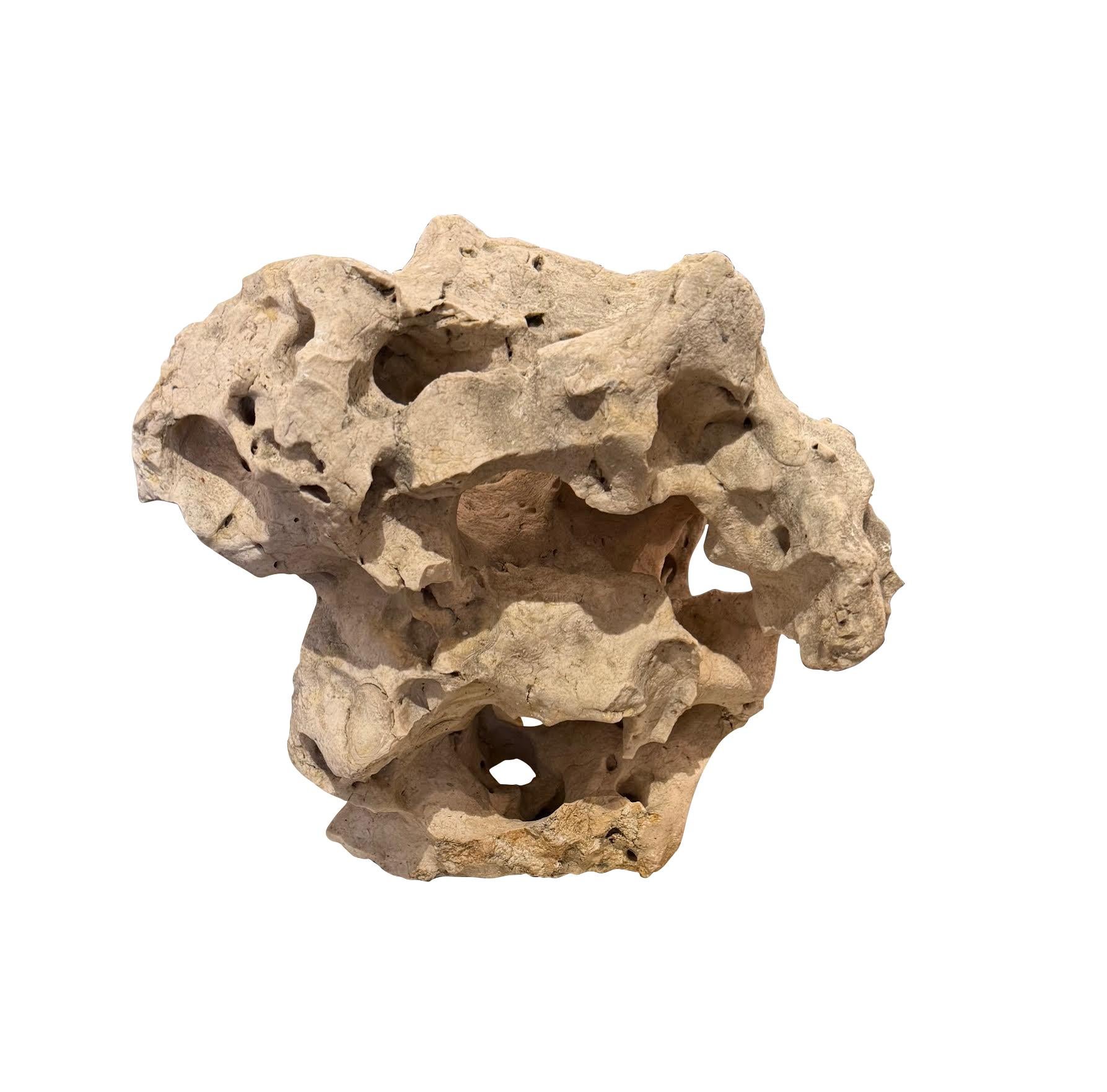 Escultura de piedra prehistórica indonesia.
Forma y agujeros formados por años de exposición a las corrientes submarinas.