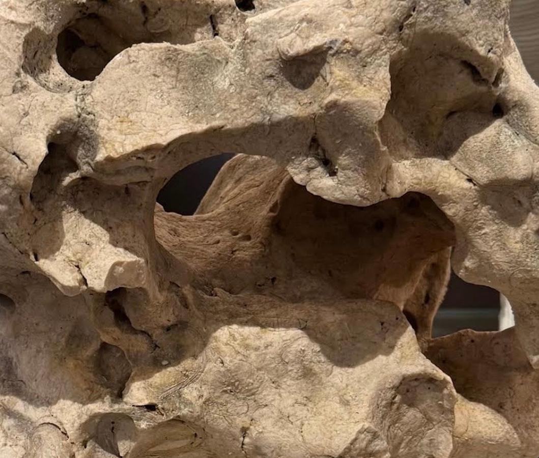 Escultura prehistórica de piedra beige, Indonesia Piedra en venta
