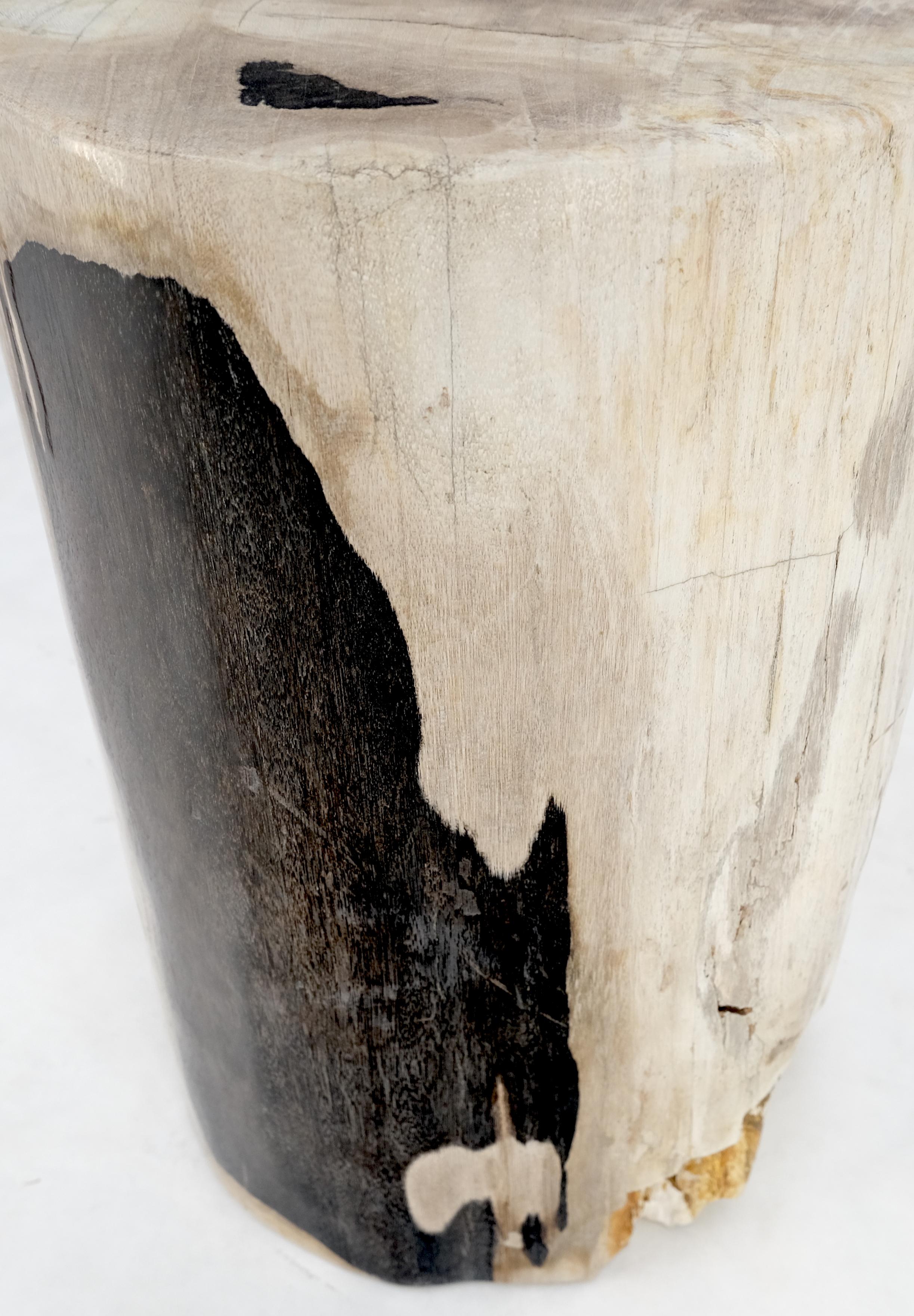 Large Beige Petrified Wood Organic Stomp Shape Stand End Side Table Pedestal