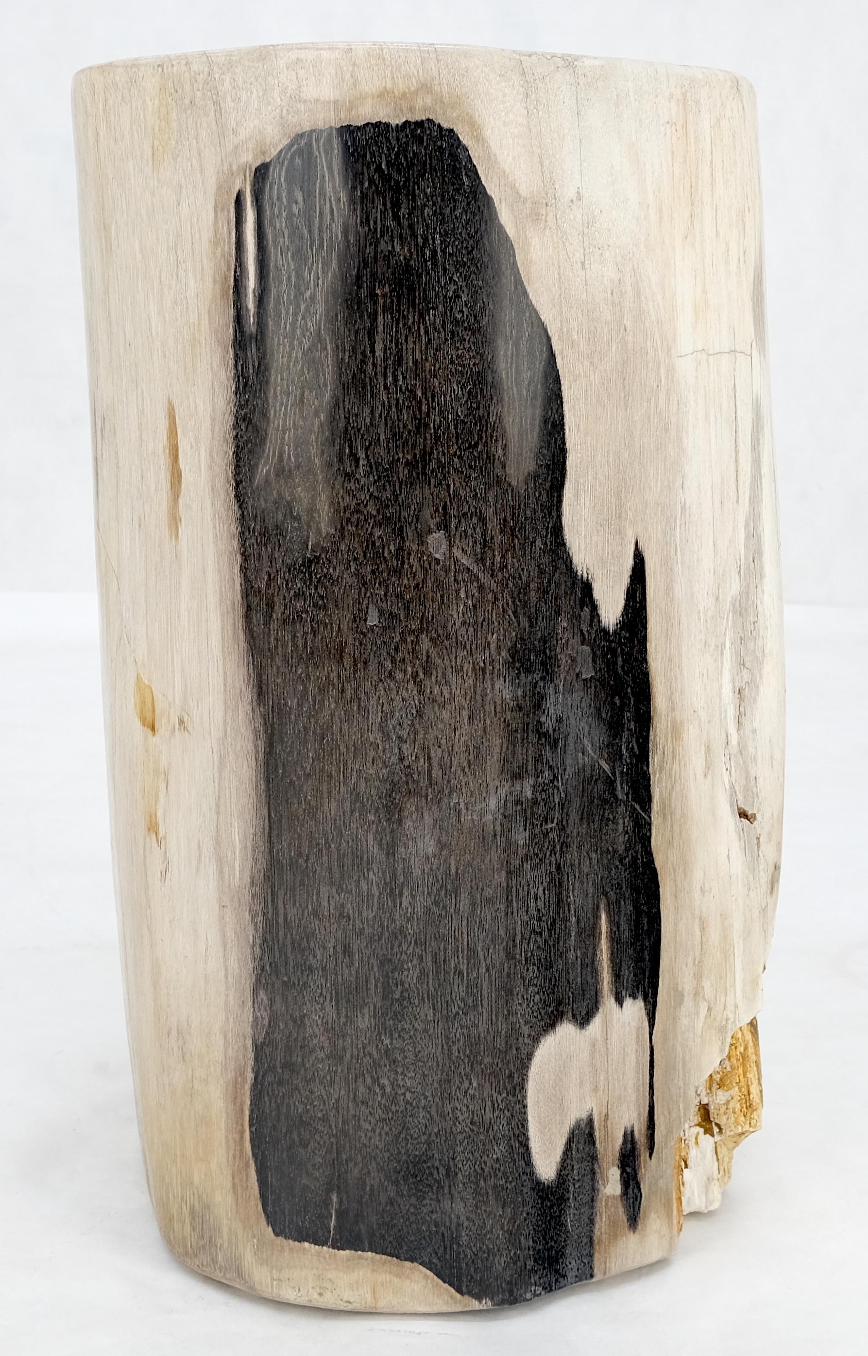 Mid-Century Modern Beige à Noir Wood Petrified Wood Organic Stomp Shape Stand End Side Table Pedestal en vente