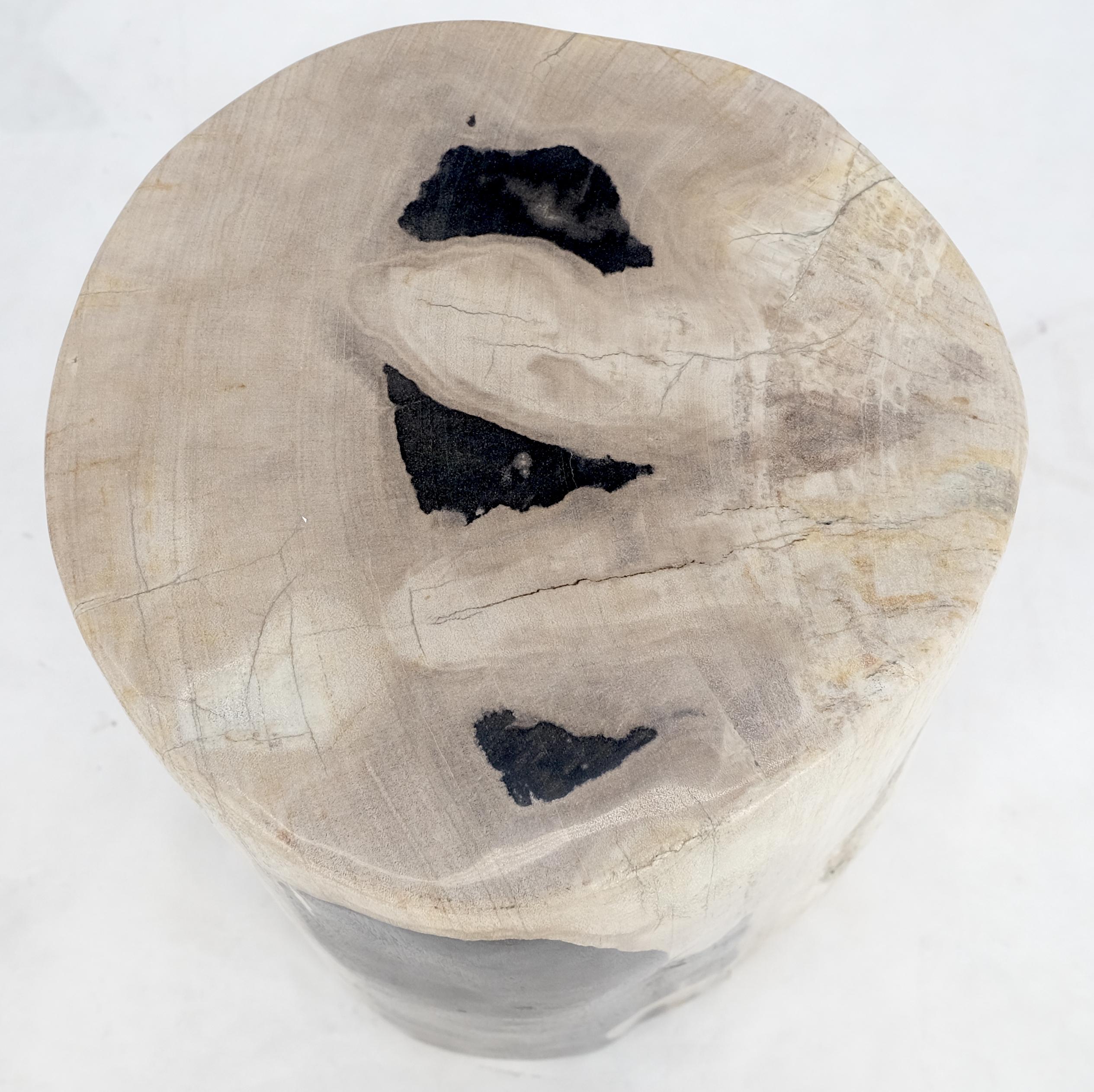 Beige bis Schwarz Versteinertes Holz Organische Stomp Form Stand Ende Beistelltisch Sockel im Zustand „Hervorragend“ im Angebot in Rockaway, NJ