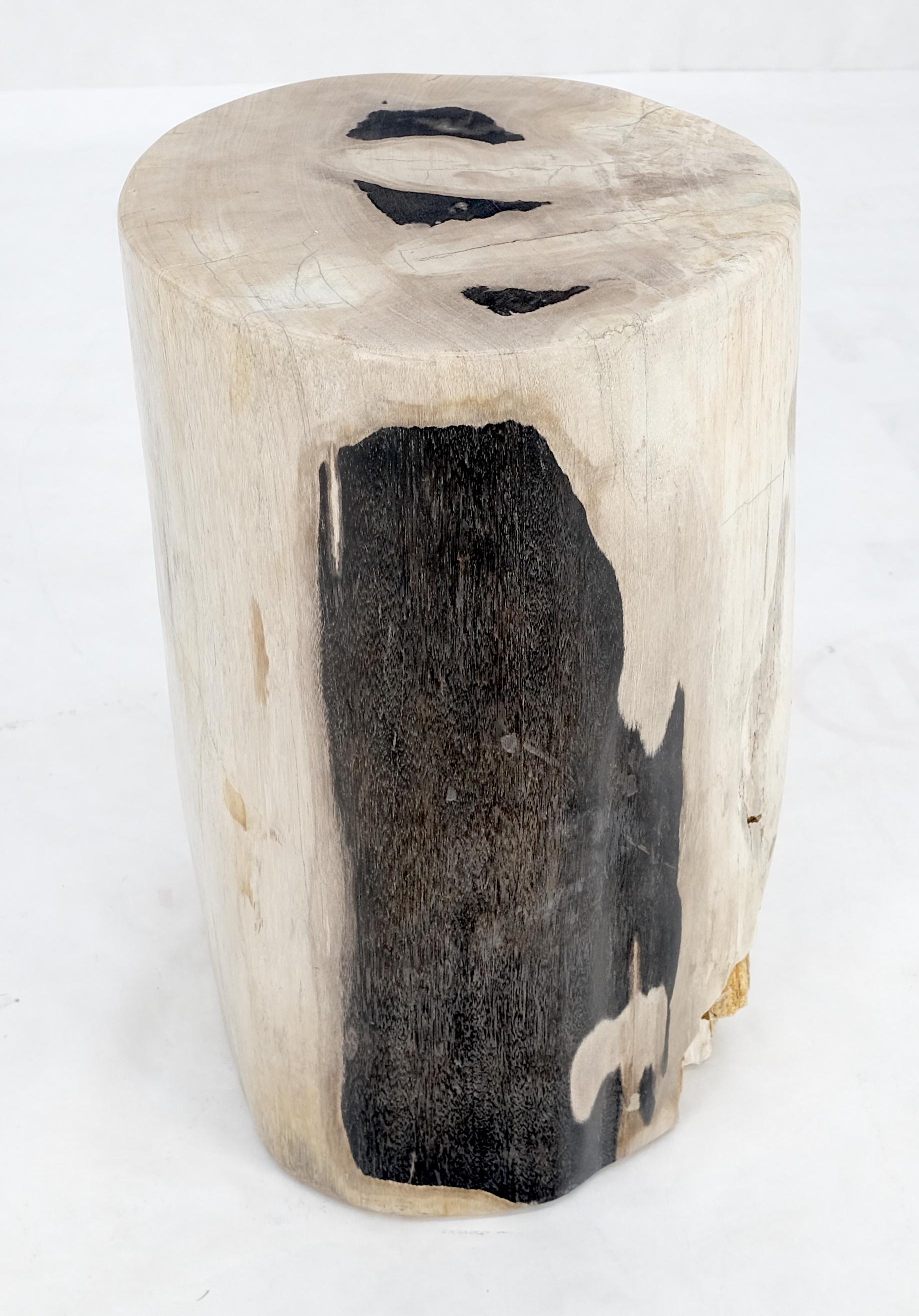 Contemporary Beige to Black Petrified Wood Organic Stomp Shape Stand End Side Table Pedestal For Sale