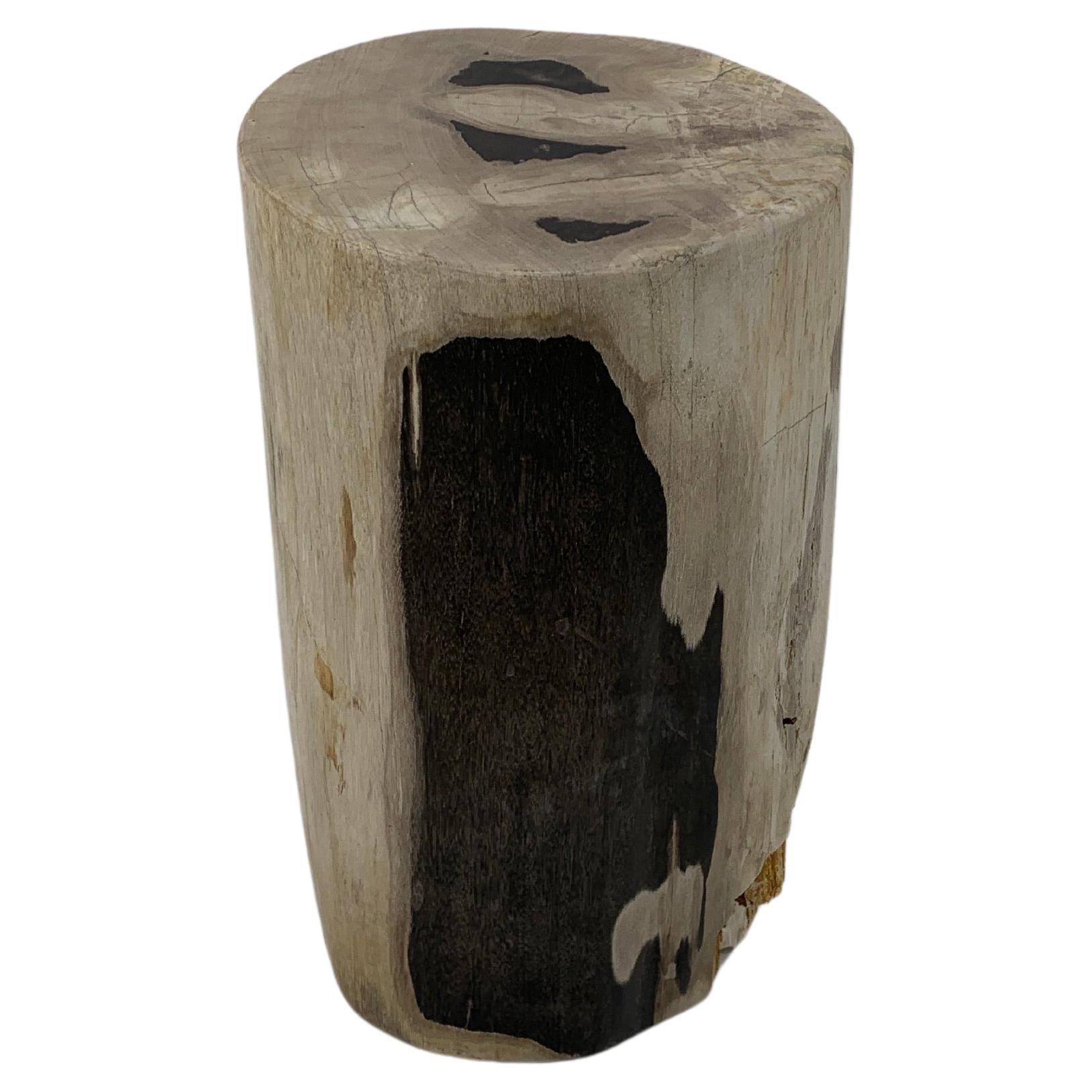 Beige to Black Petrified Wood Organic Stomp Shape Stand End Side Table Pedestal For Sale