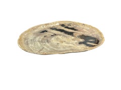 Beige With Black Accents Petrified Wood Platter, Indonesia, Contemporary