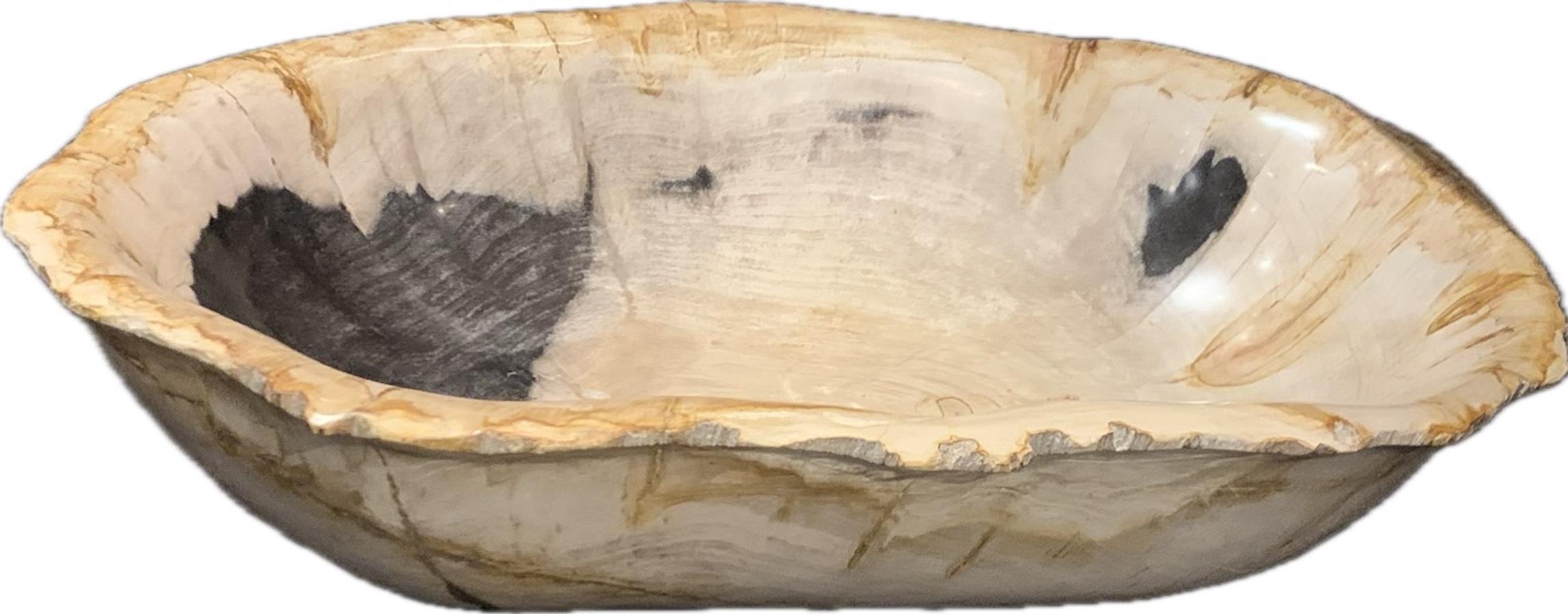 Contemporary Indonesian extra large petrified wood bowl.
Beige with black accents.
From a collection of petrified wood bowls and platters.