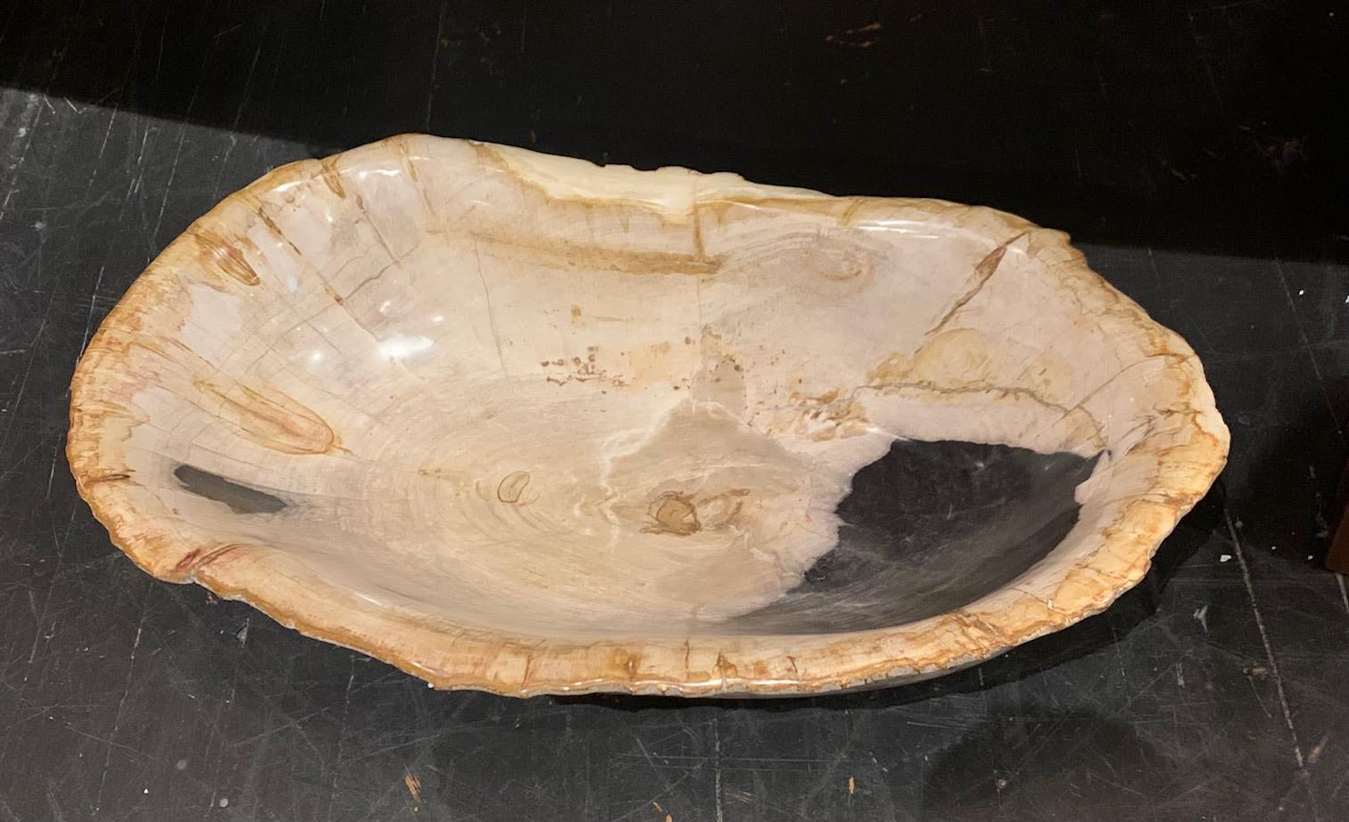 Indonesian Beige With Black Extra Large Petrified Wood Bowl, Indonesia, Contemporary For Sale