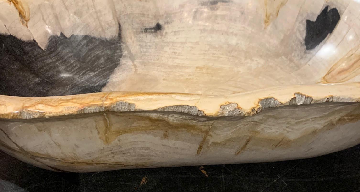 Cuenco de Madera Petrificada Beige con Negro Extra Grande, Indonesia, Contemporáneo en Nuevo estado para la venta en New York, NY