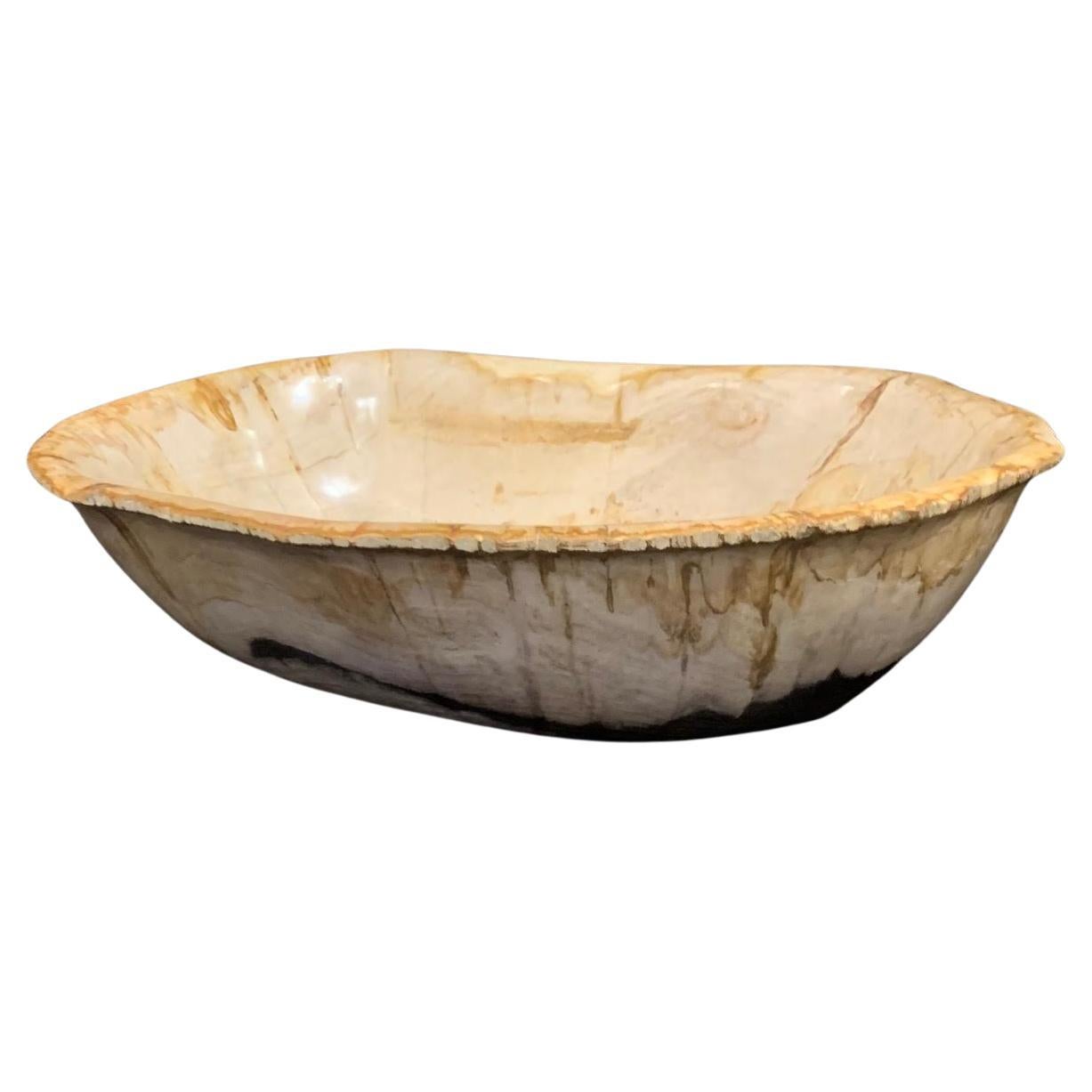 Beige With Black Extra Large Petrified Wood Bowl, Indonesia, Contemporary For Sale