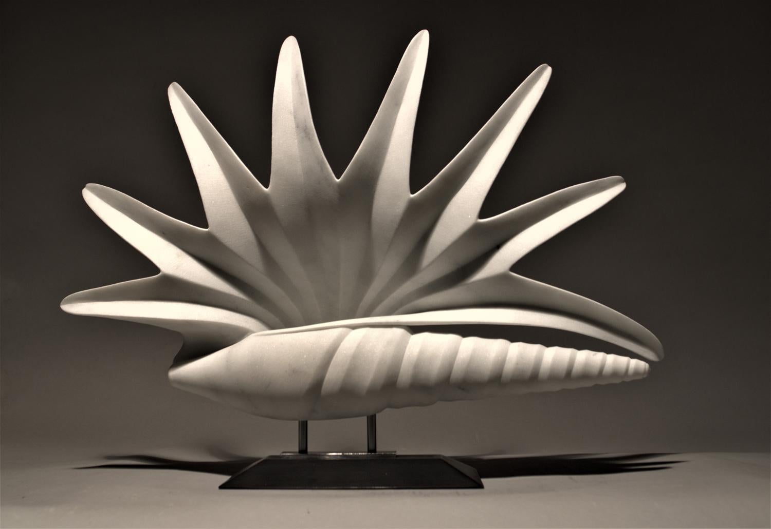 Shell of the Gods: Italian Carrara Marble, Sculpture